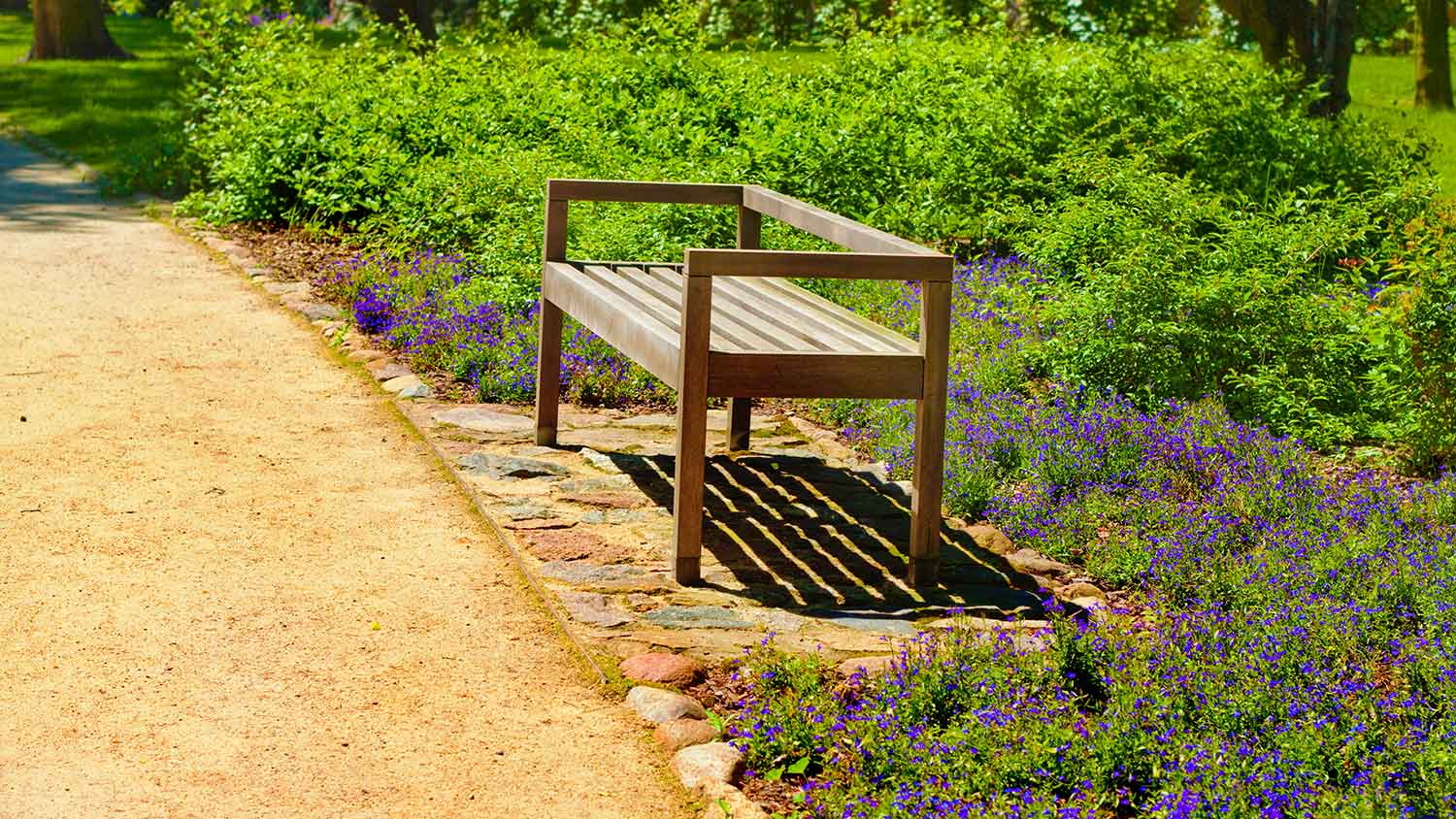 Simple wooden bench in the park