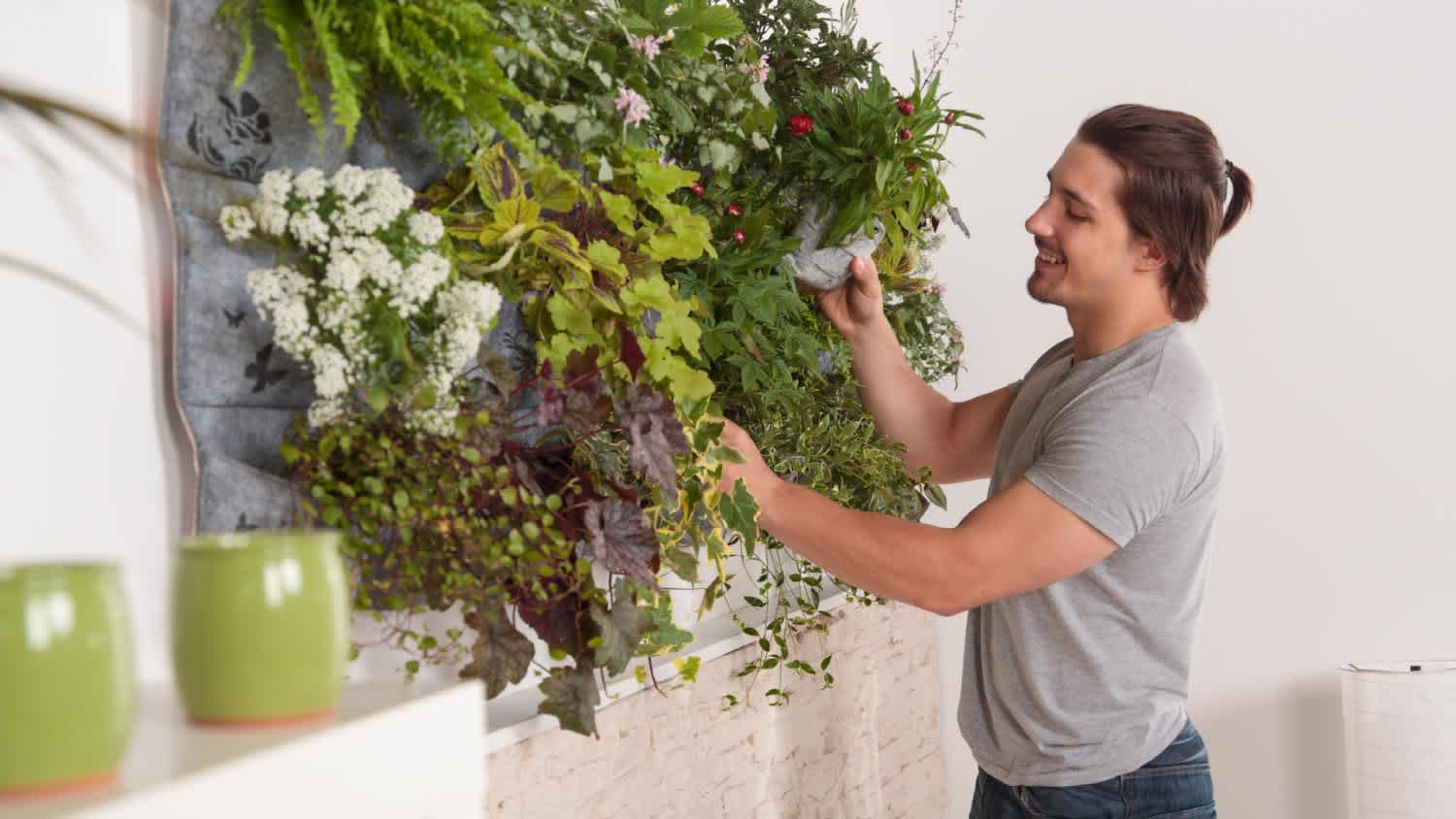 A man attending his vertical garden at home