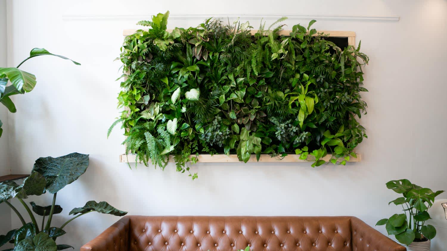 Floating plants on wall