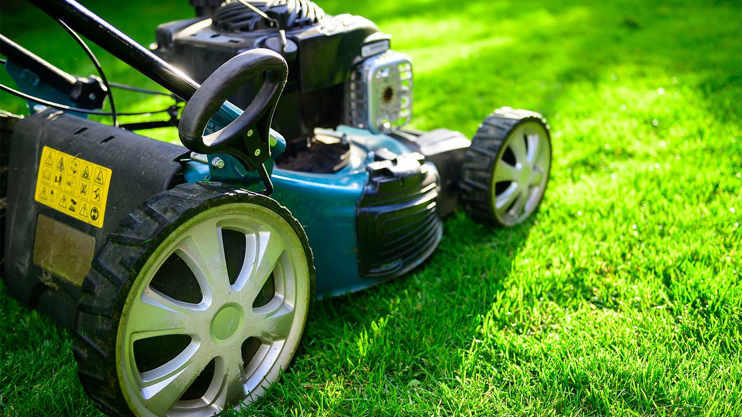 Green grass blue lawn mower