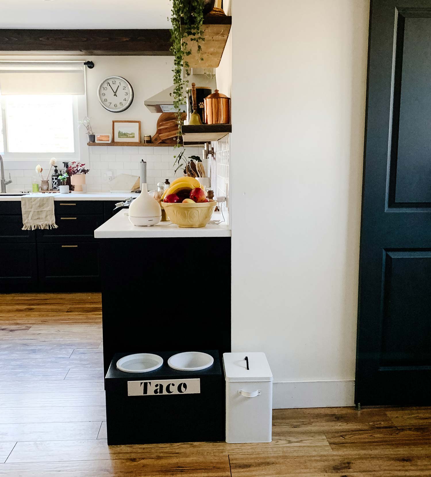 Kitchen black and white dog dish
