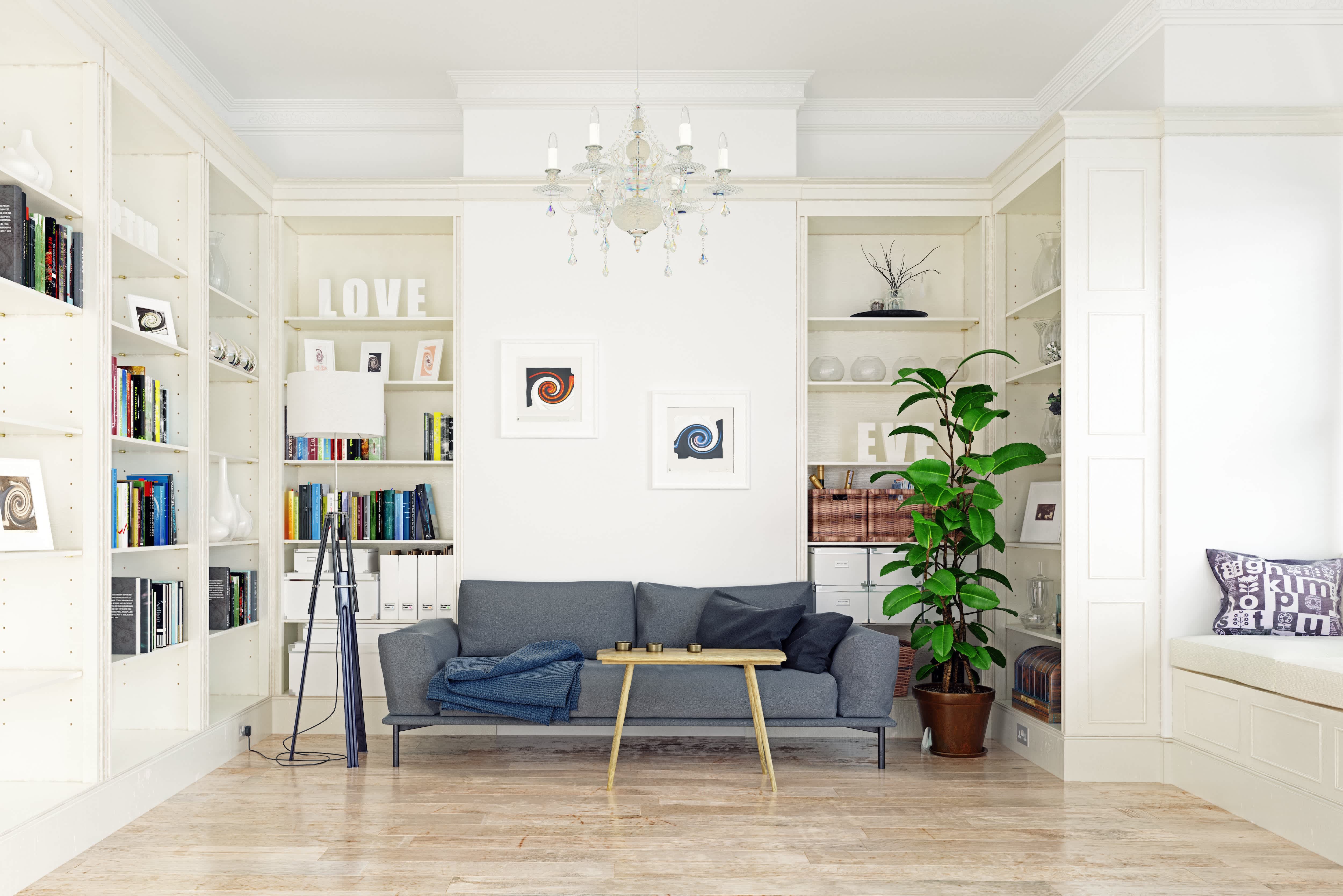 Gray living room couch with a bookshelf behind it
