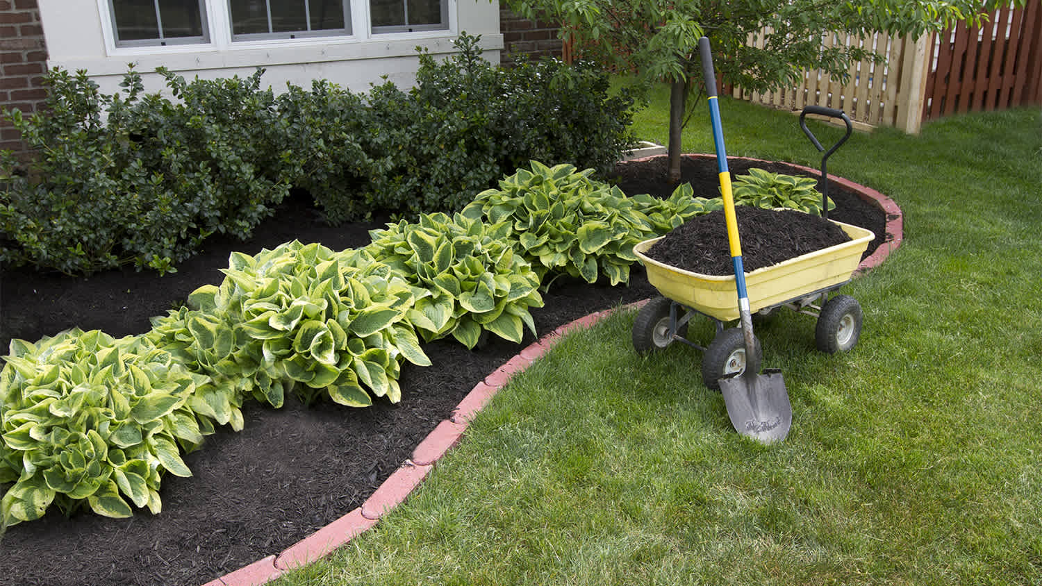 nicely groomed front yard