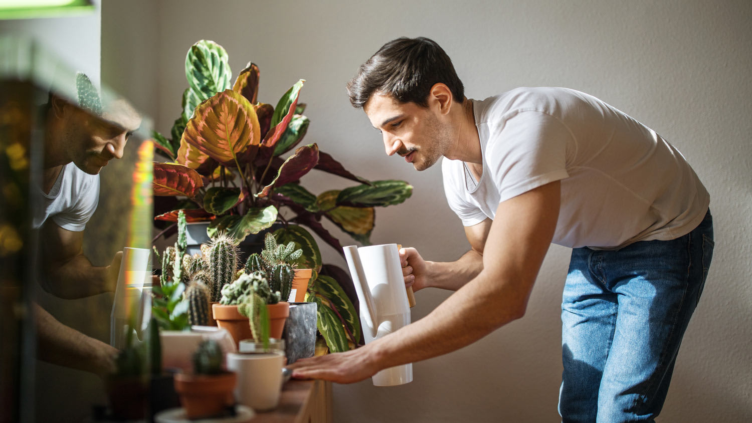 Young Woman Waters Her Houseplants