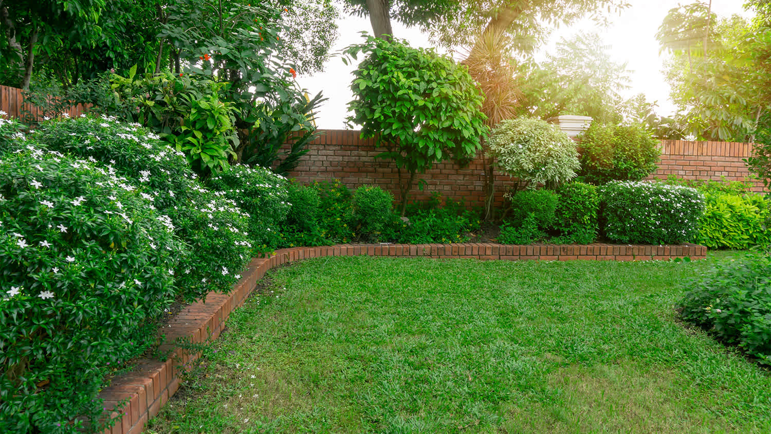smooth green grass in yard