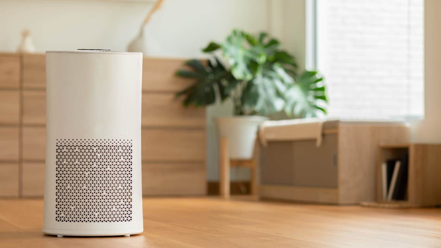 An air purifier in cozy white living room