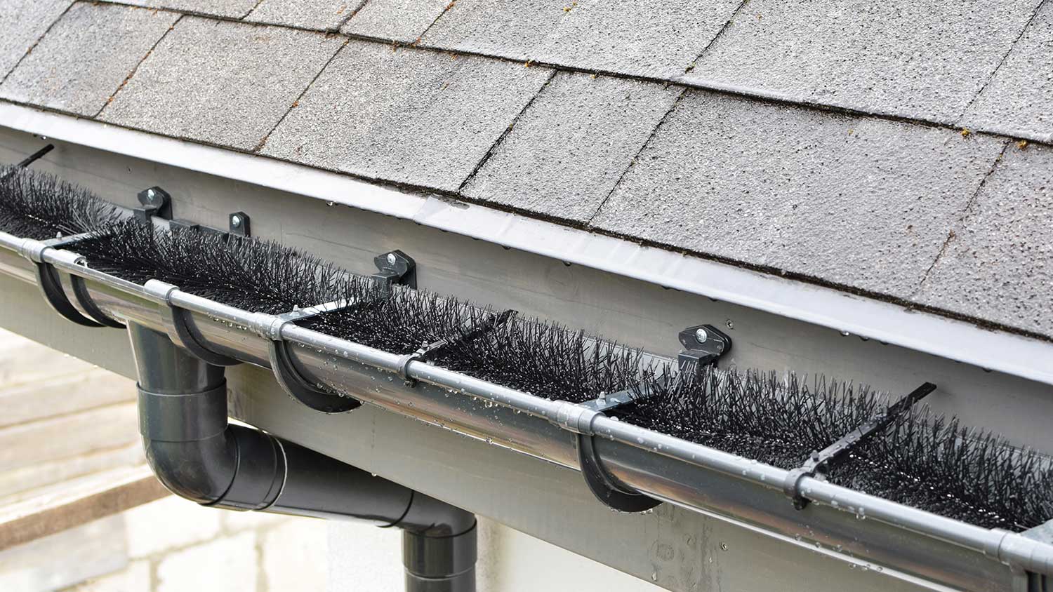 Brush leaf guard installed in a house gutter