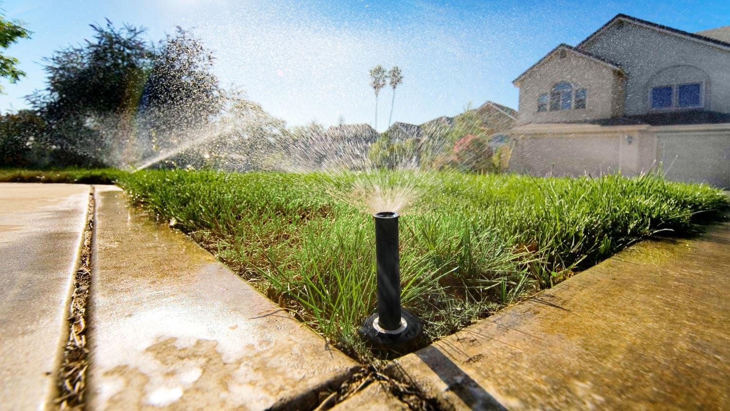 Sprinklers in action watering a house’s lawn