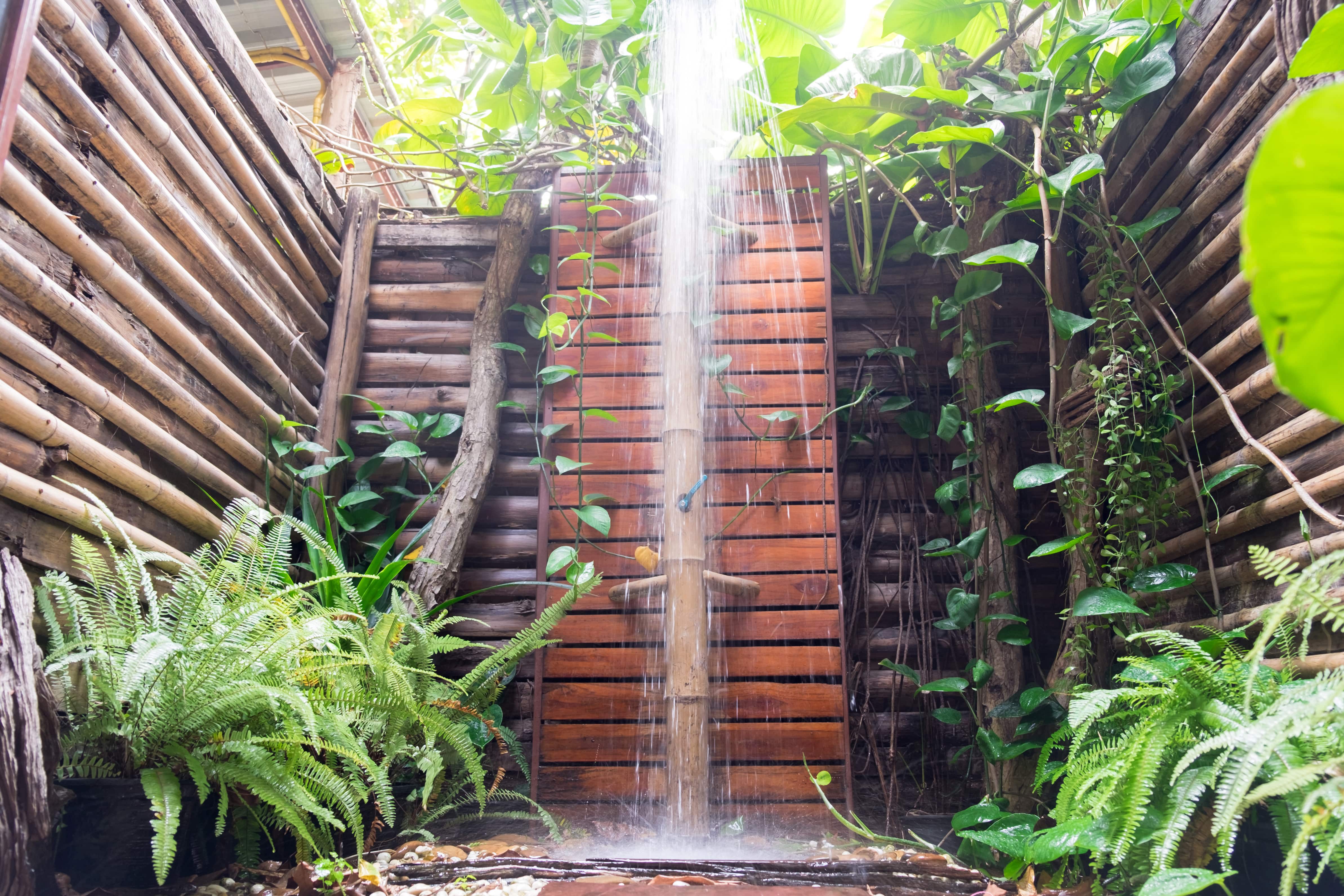 An outdoor shower with a rainfall showerhead surrounded by a tall wood fence and plants