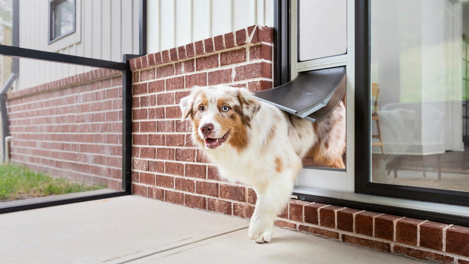 A PetSafe sliding door for a dog