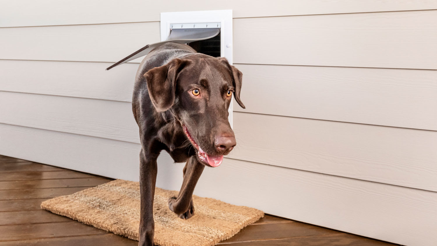 A PetSafe wall mounted pet door