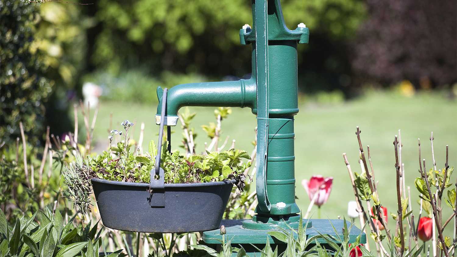 water pump in garden