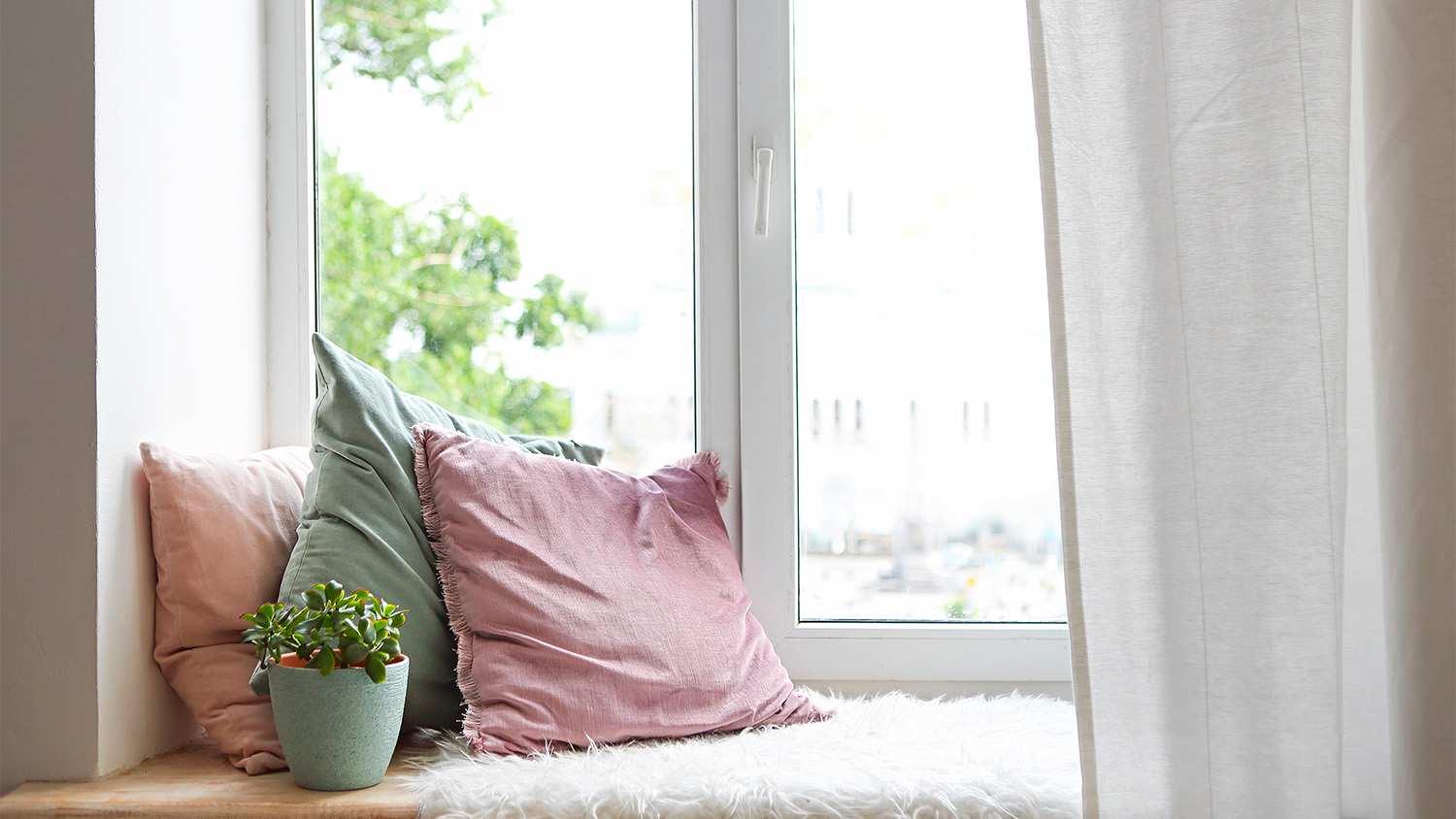 pillows next to window