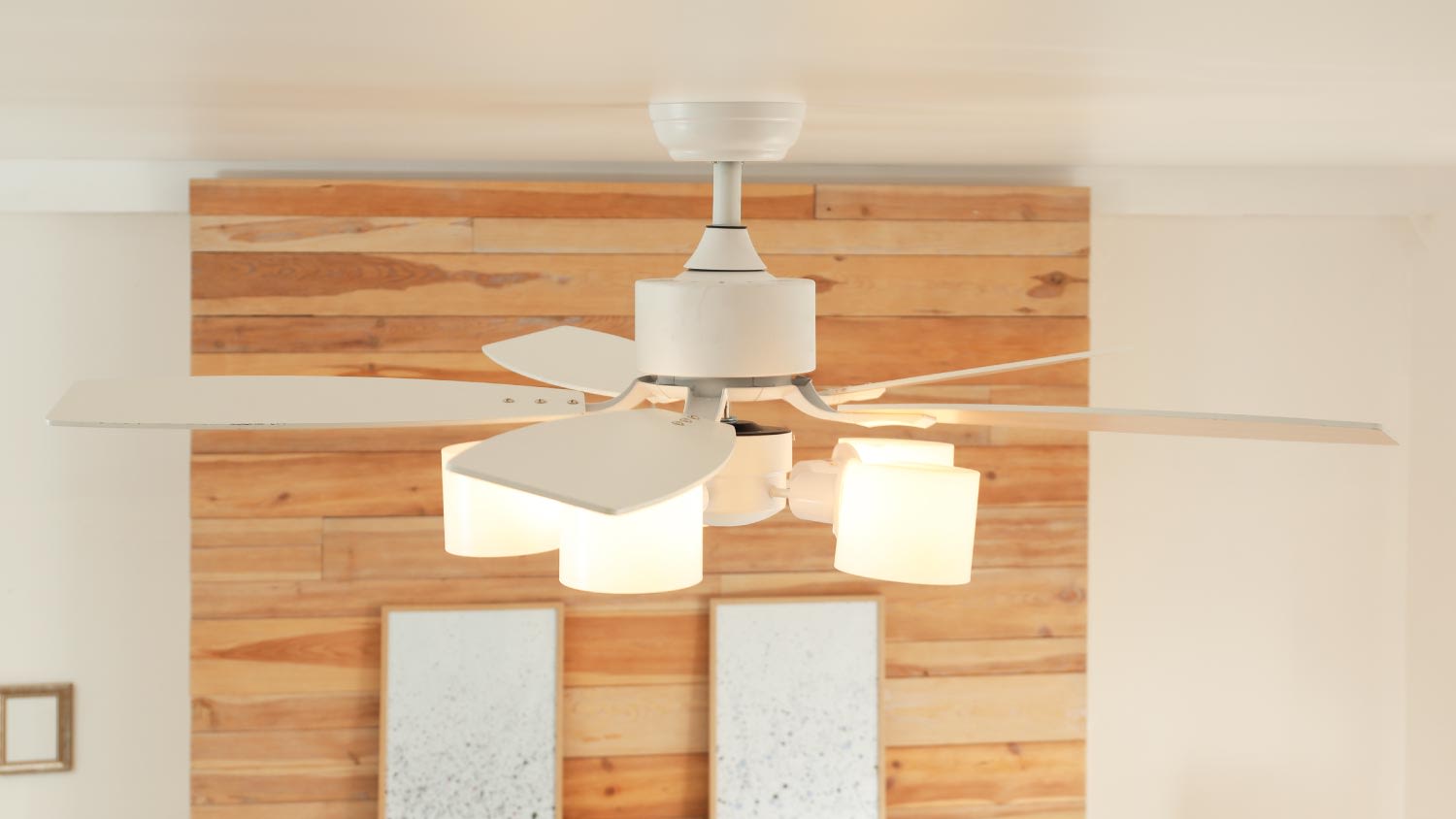 Ceiling fan with lamps indoors