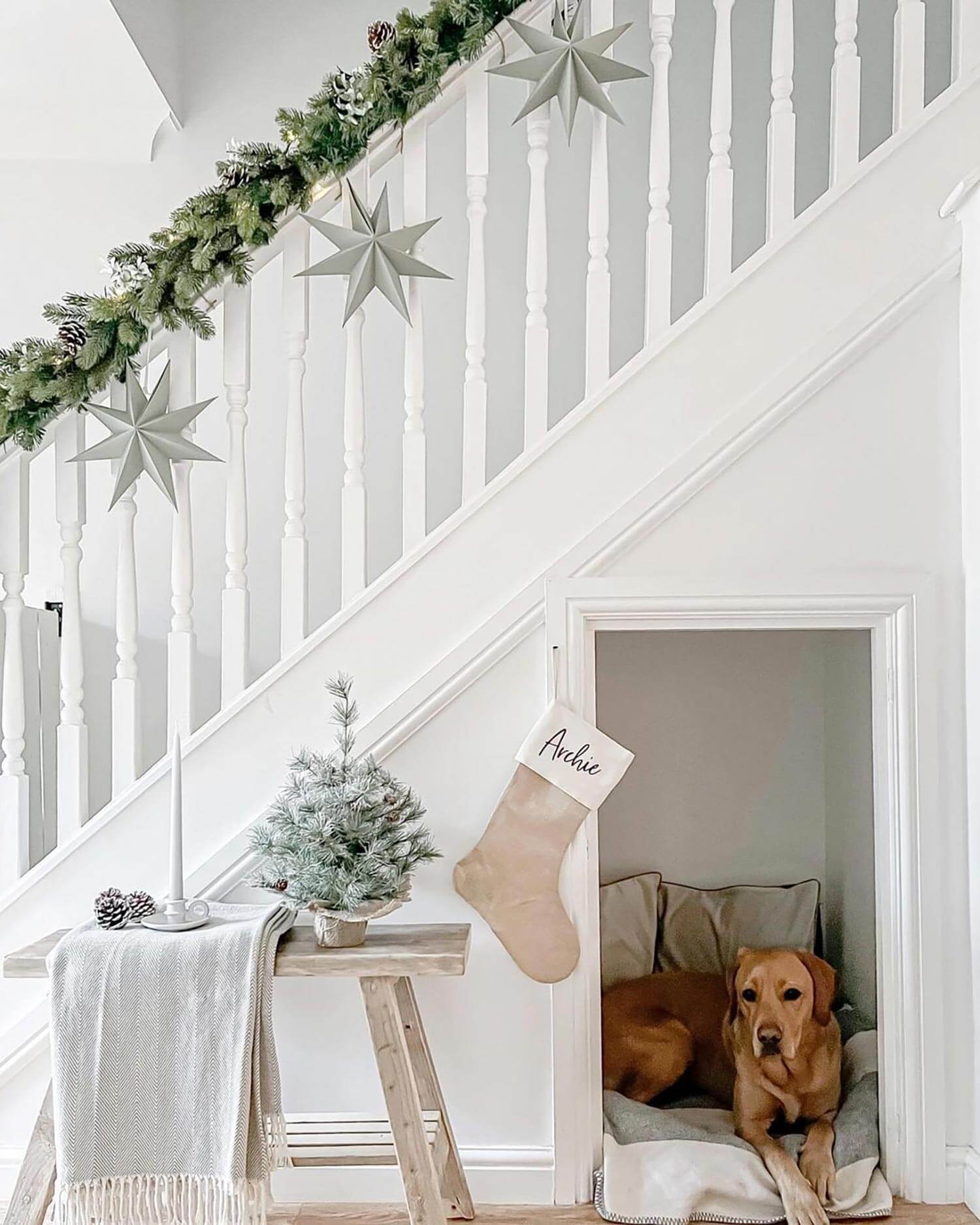 An under the stairs dog den