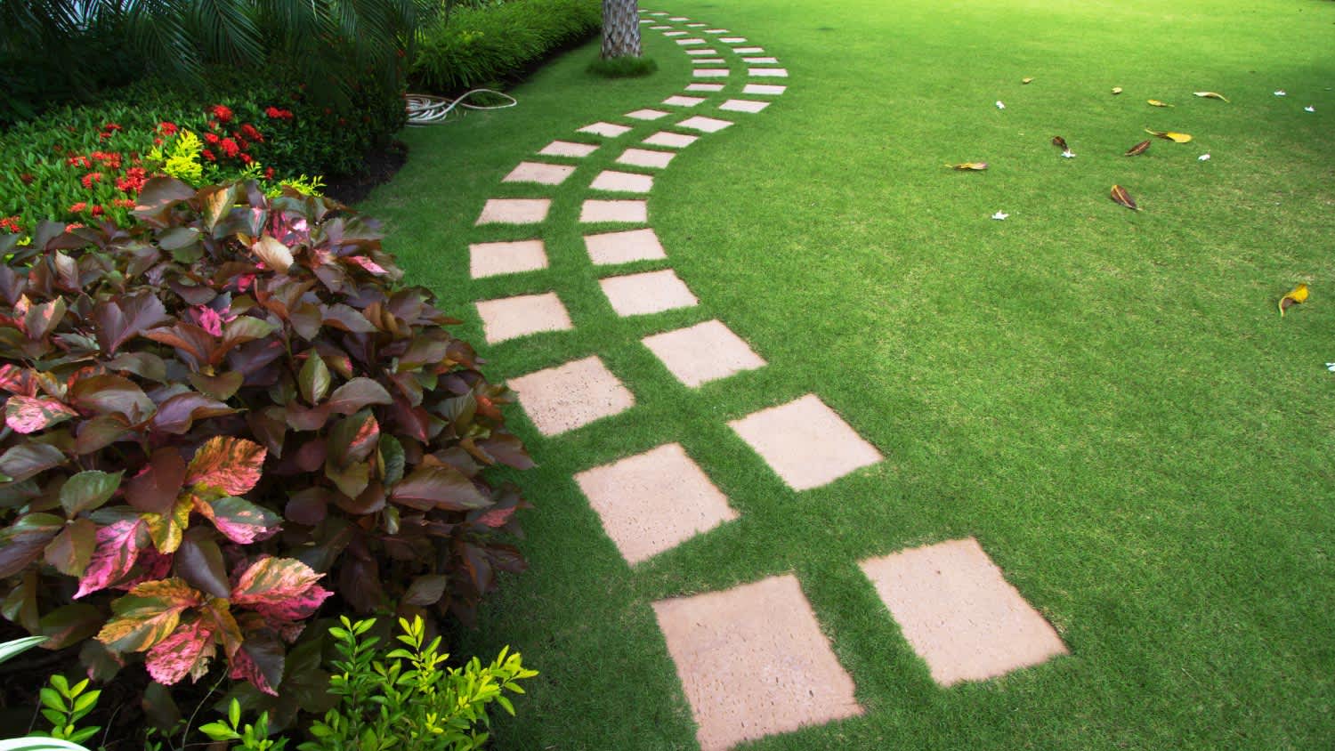 A footpath at backyard garden