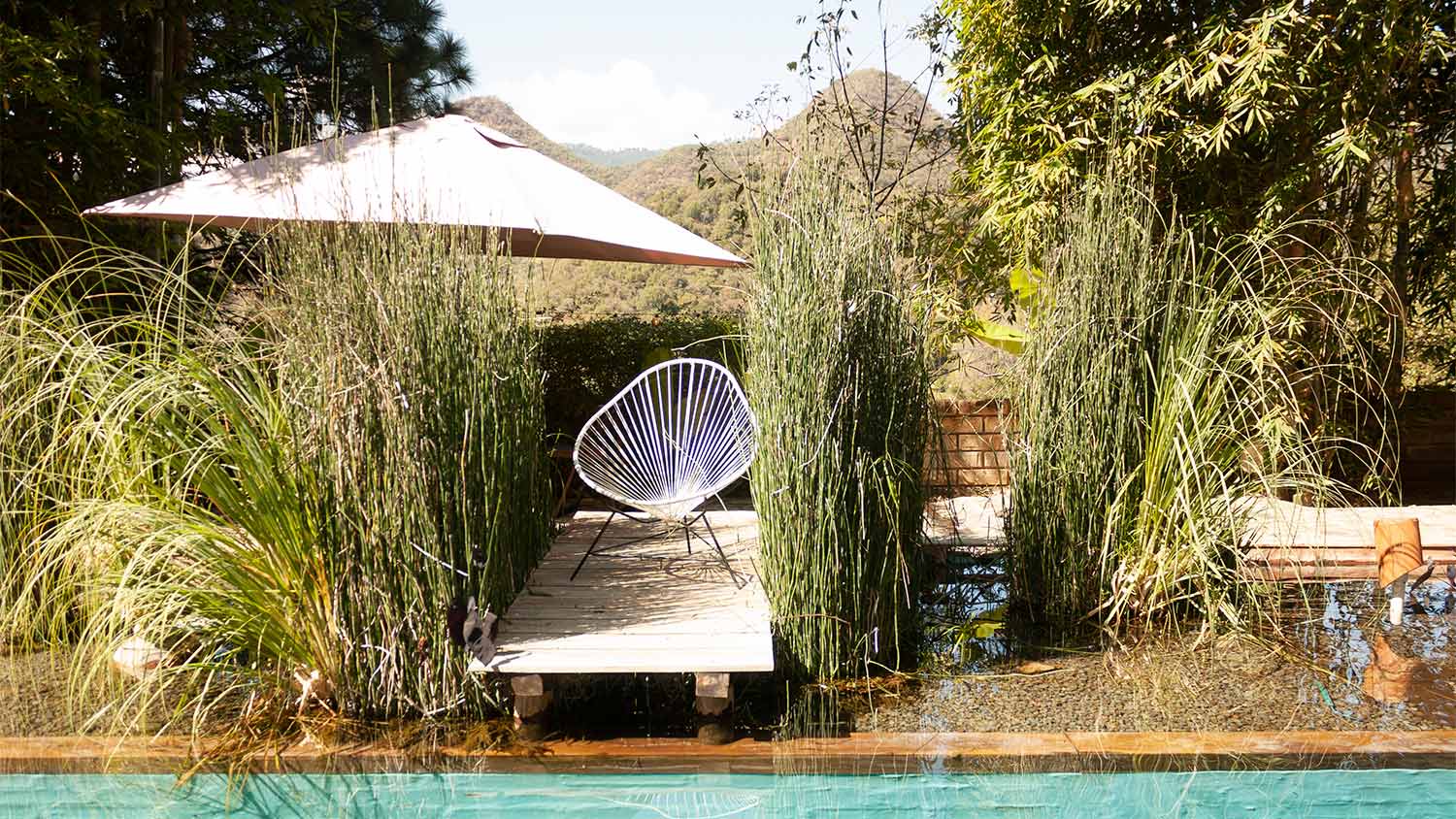 Bamboo surrounding chair and deck