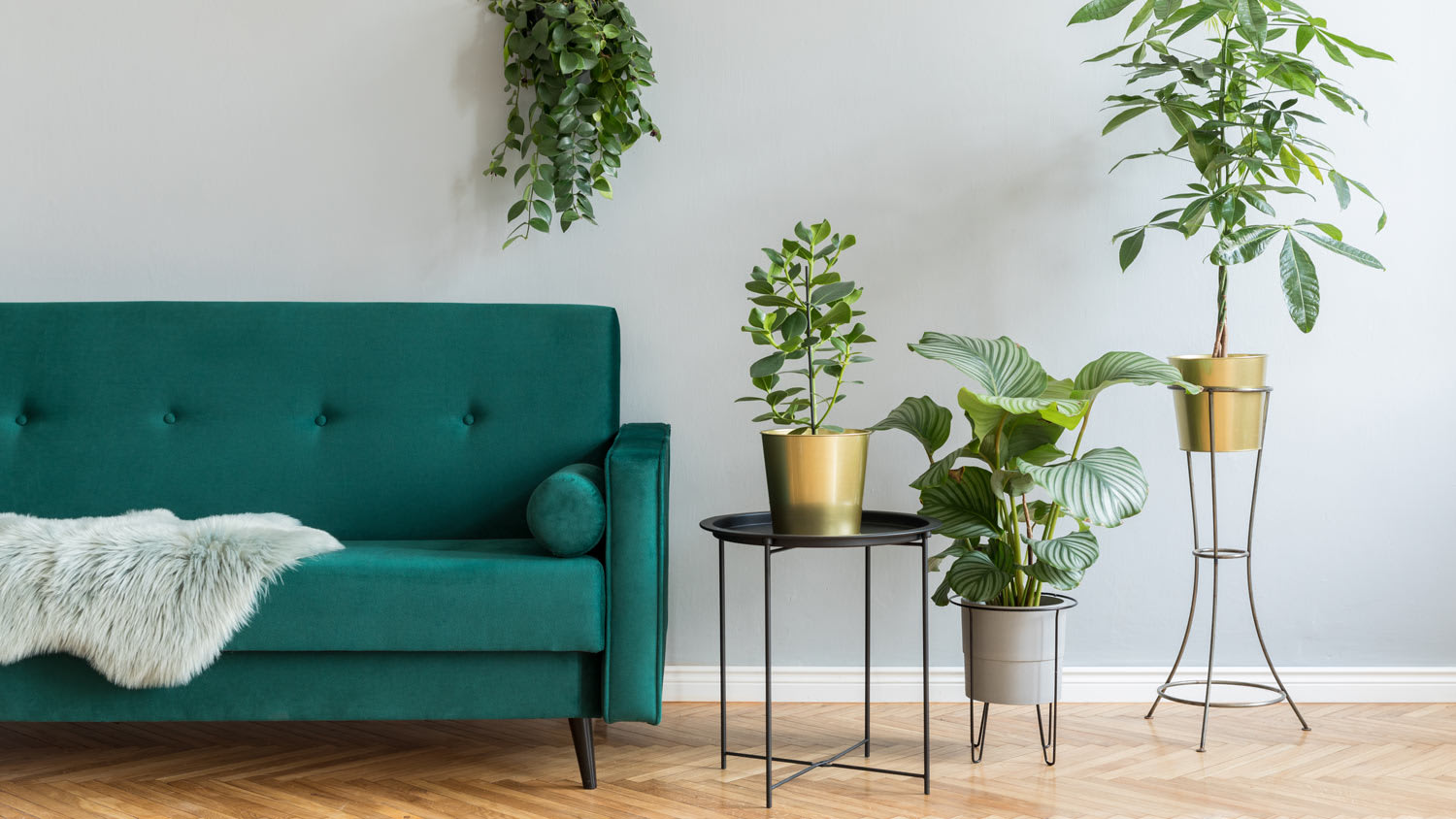A living room with an emerald green sofa