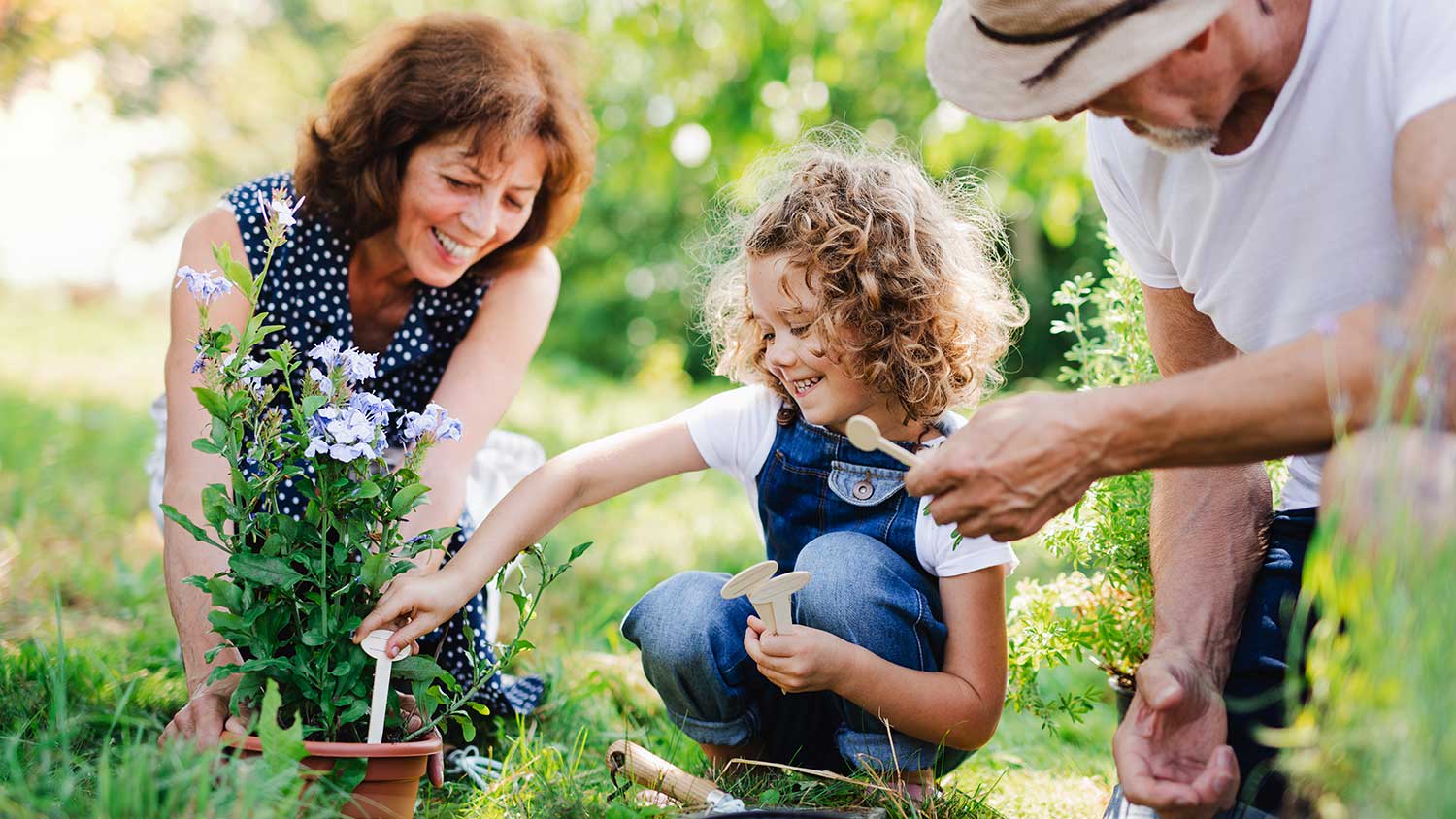 Grandparents gardening with granddaughter