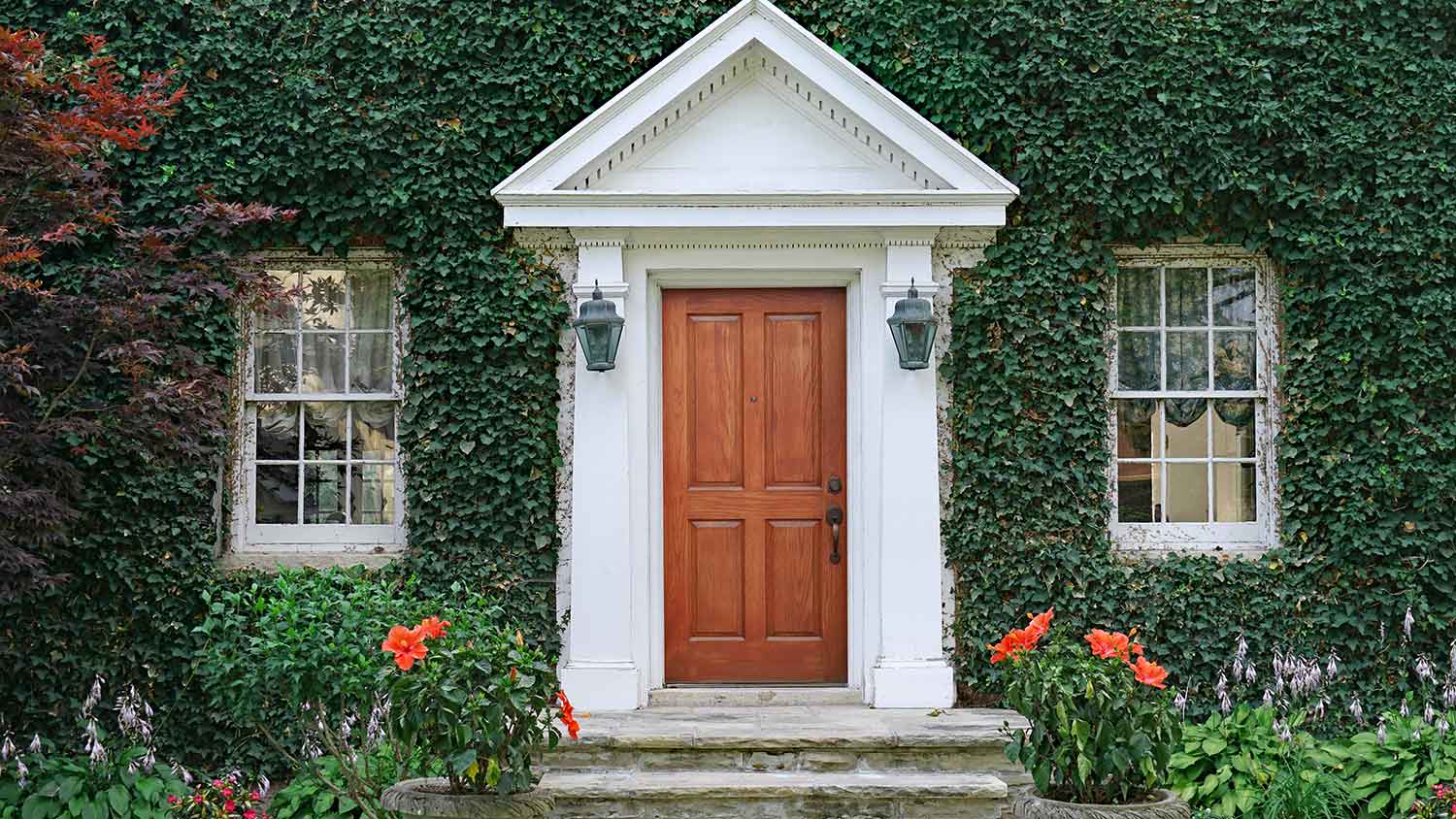 Vine covered house with wood front door