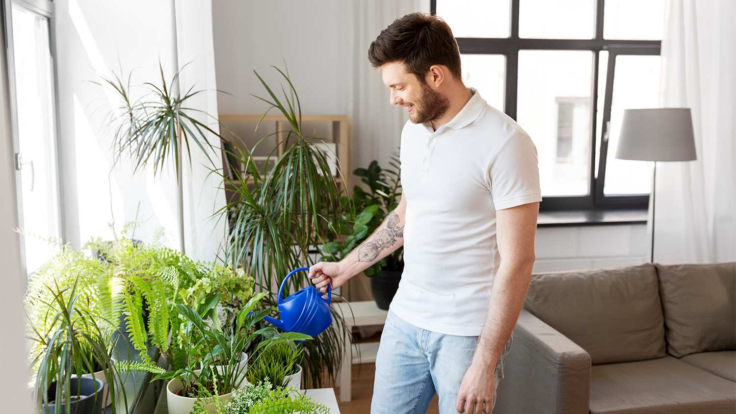 man watering his plants in the living room