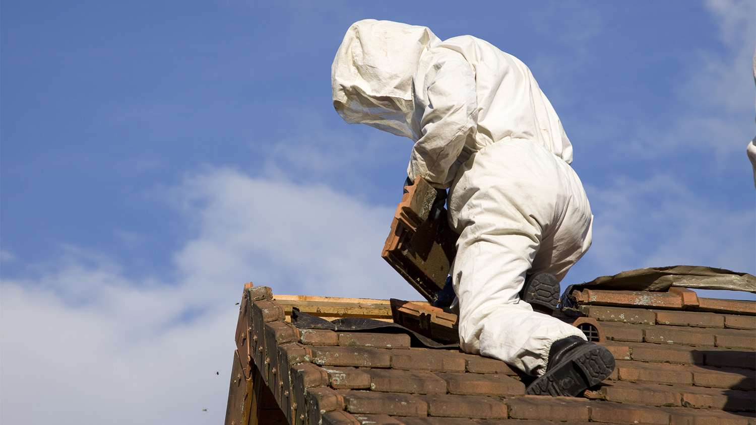 exterminator removing wasps nest from roof