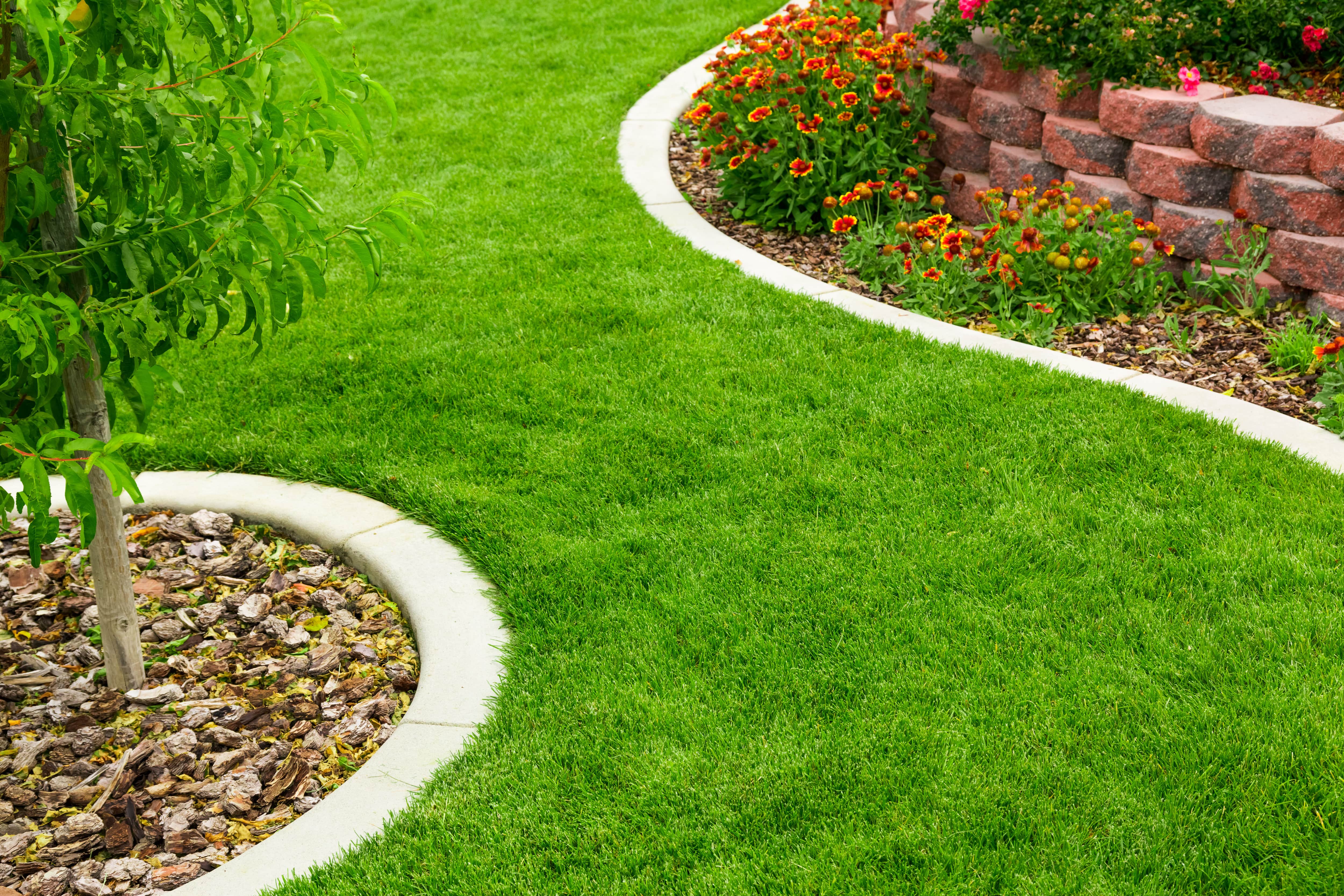 Curbed edging along flower bed