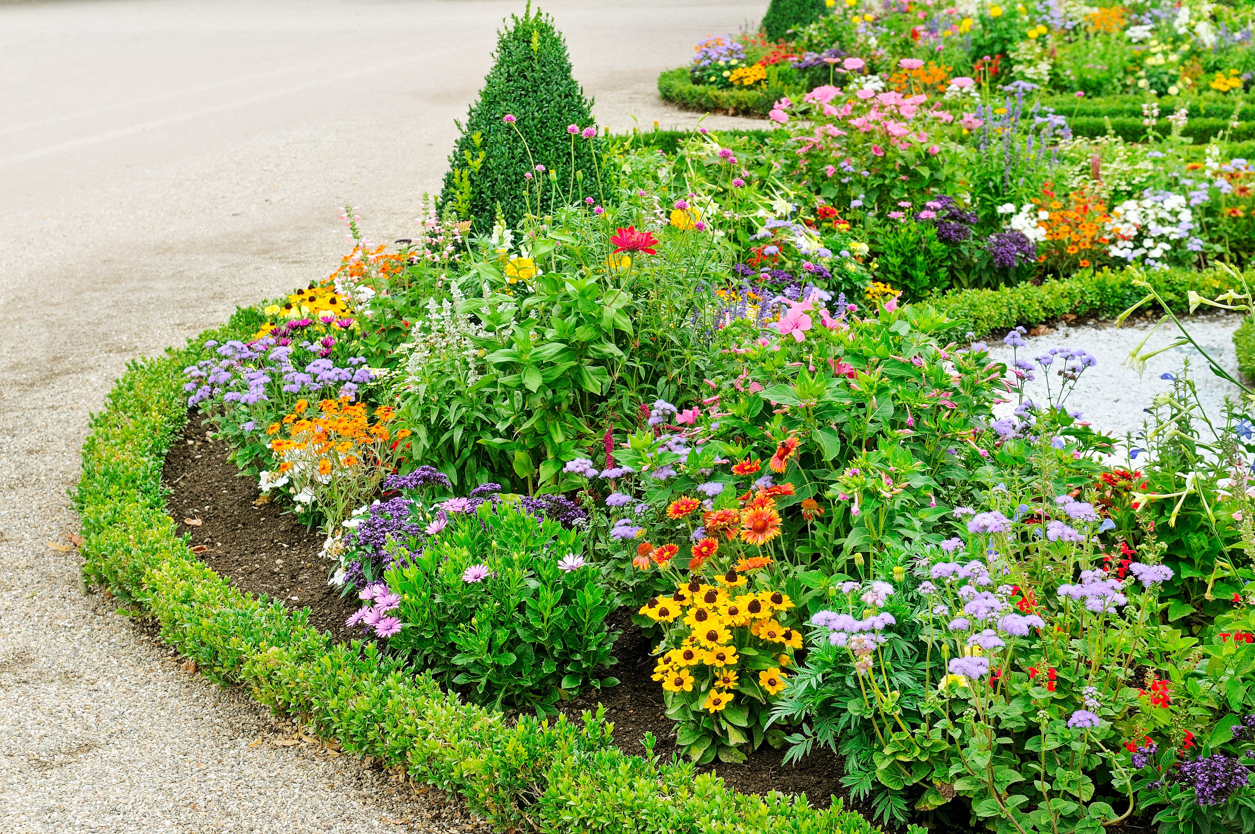 Circular flower bed in garden