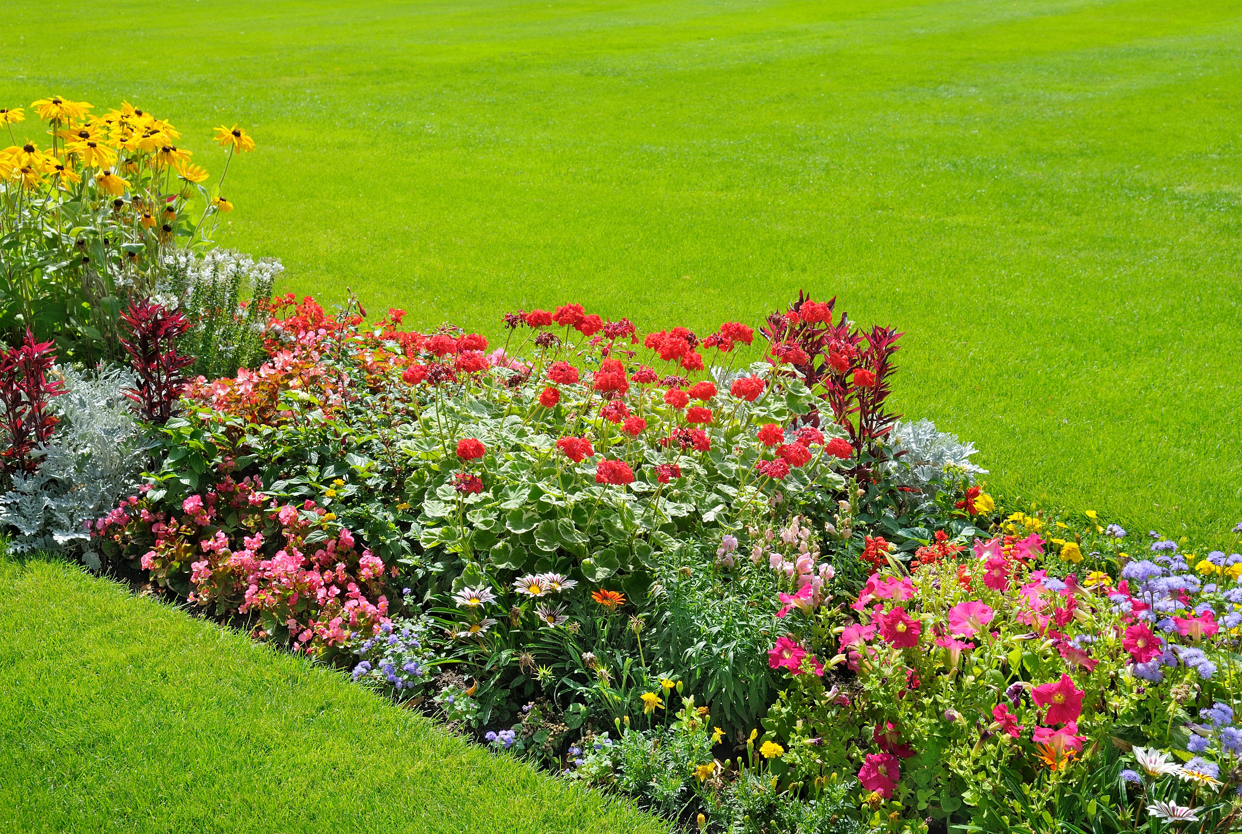 Flower bed lining grass