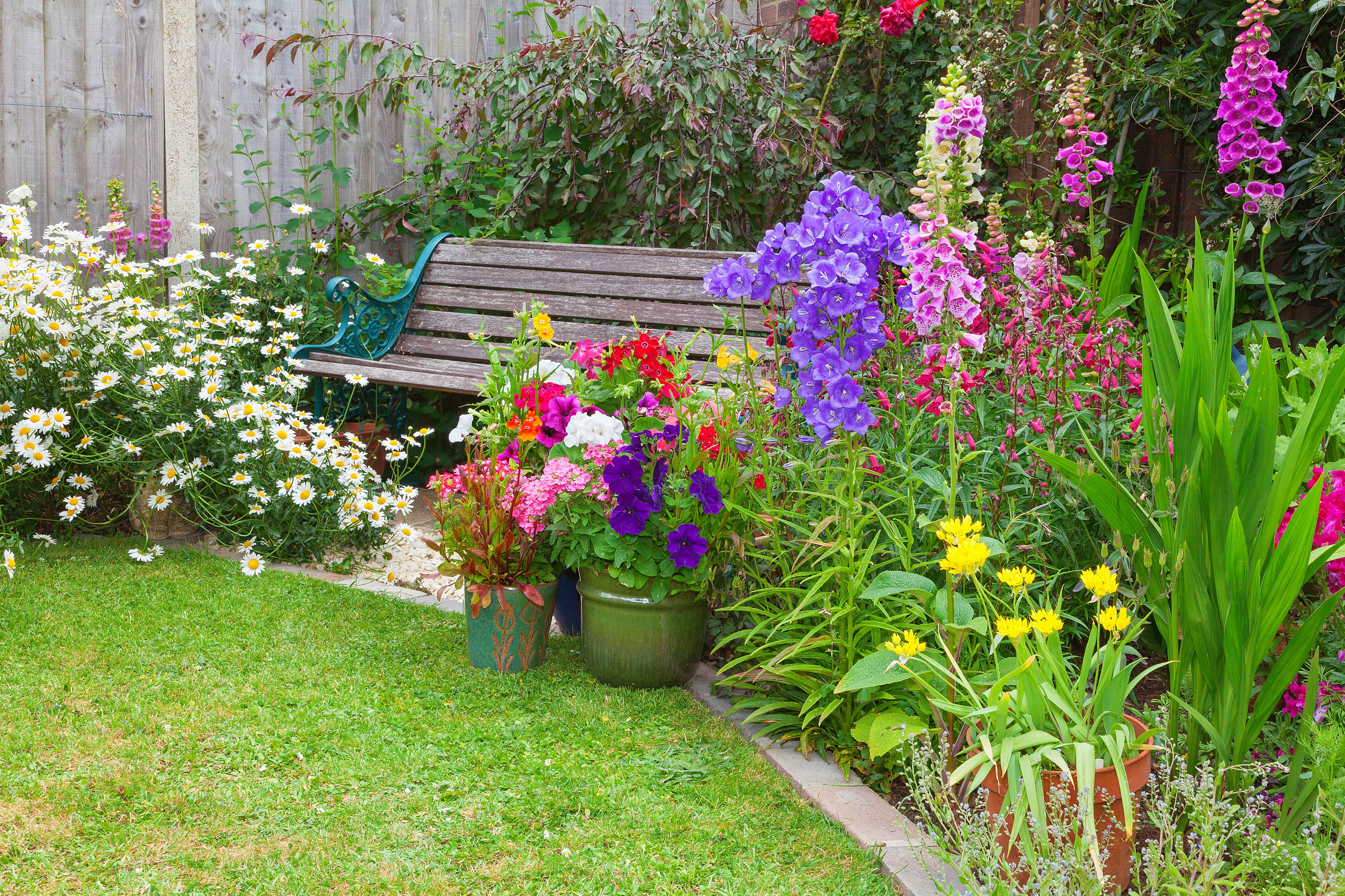 Wooden bench in garden