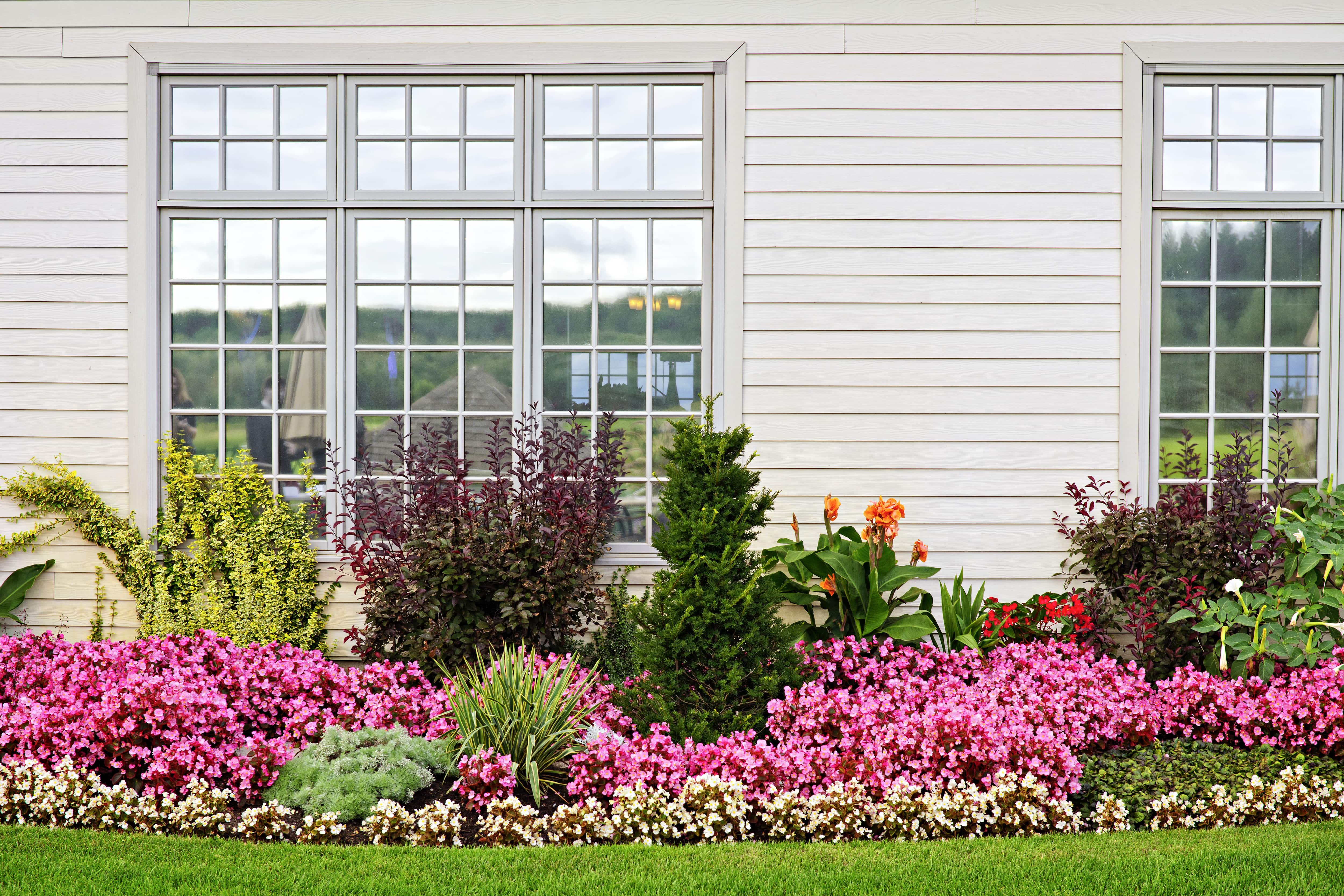 Garden on the side of a house