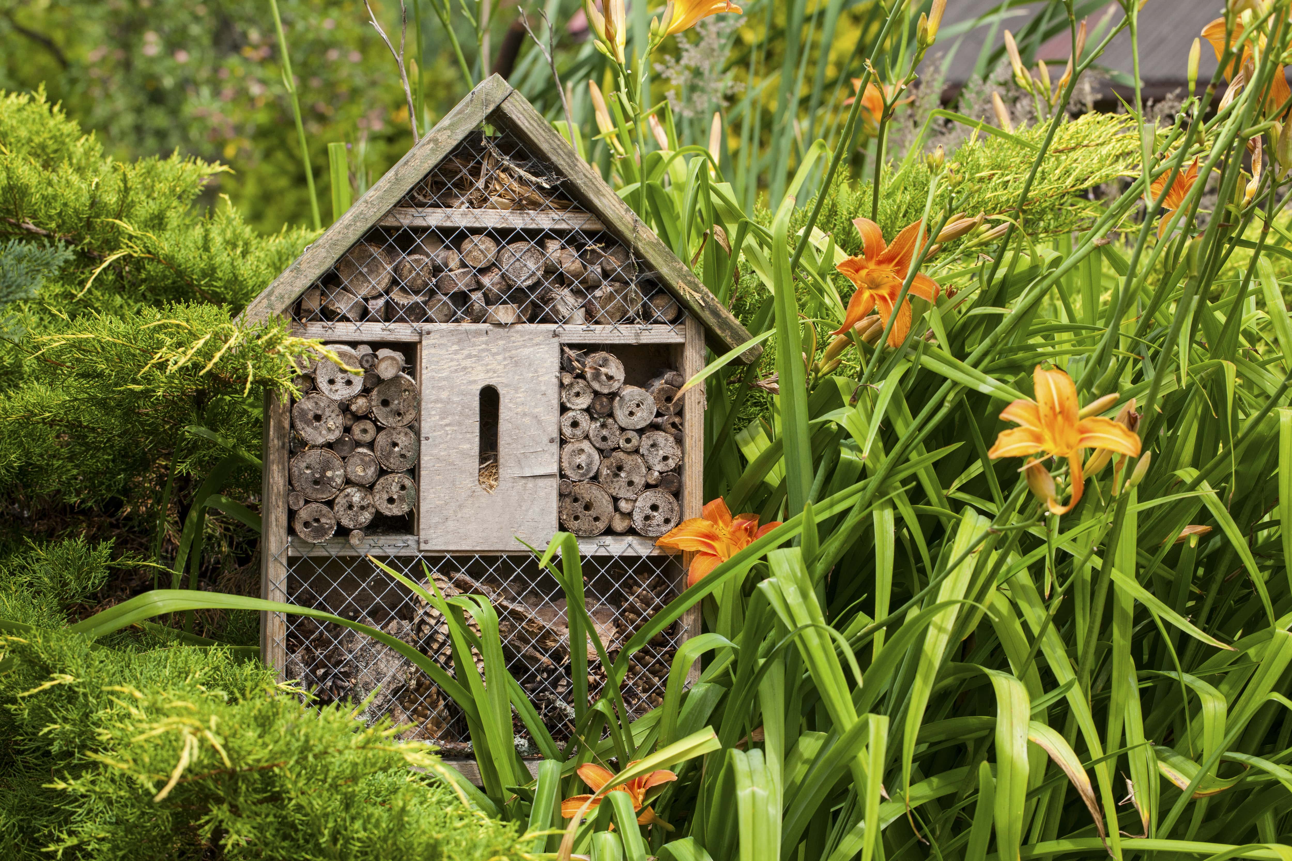 Insect house in garden