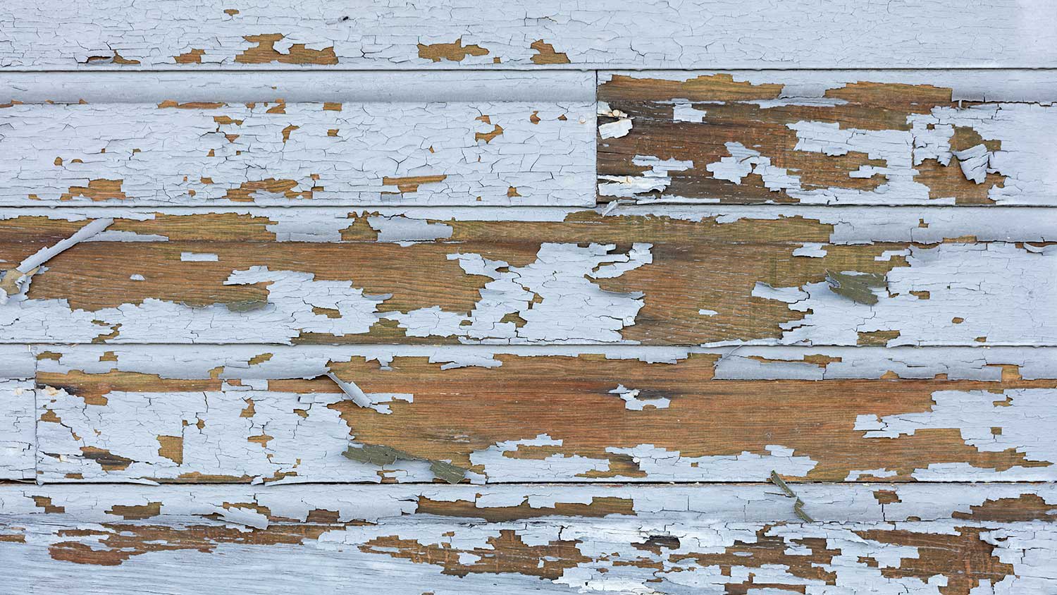 Lead paint peeling off wood in home