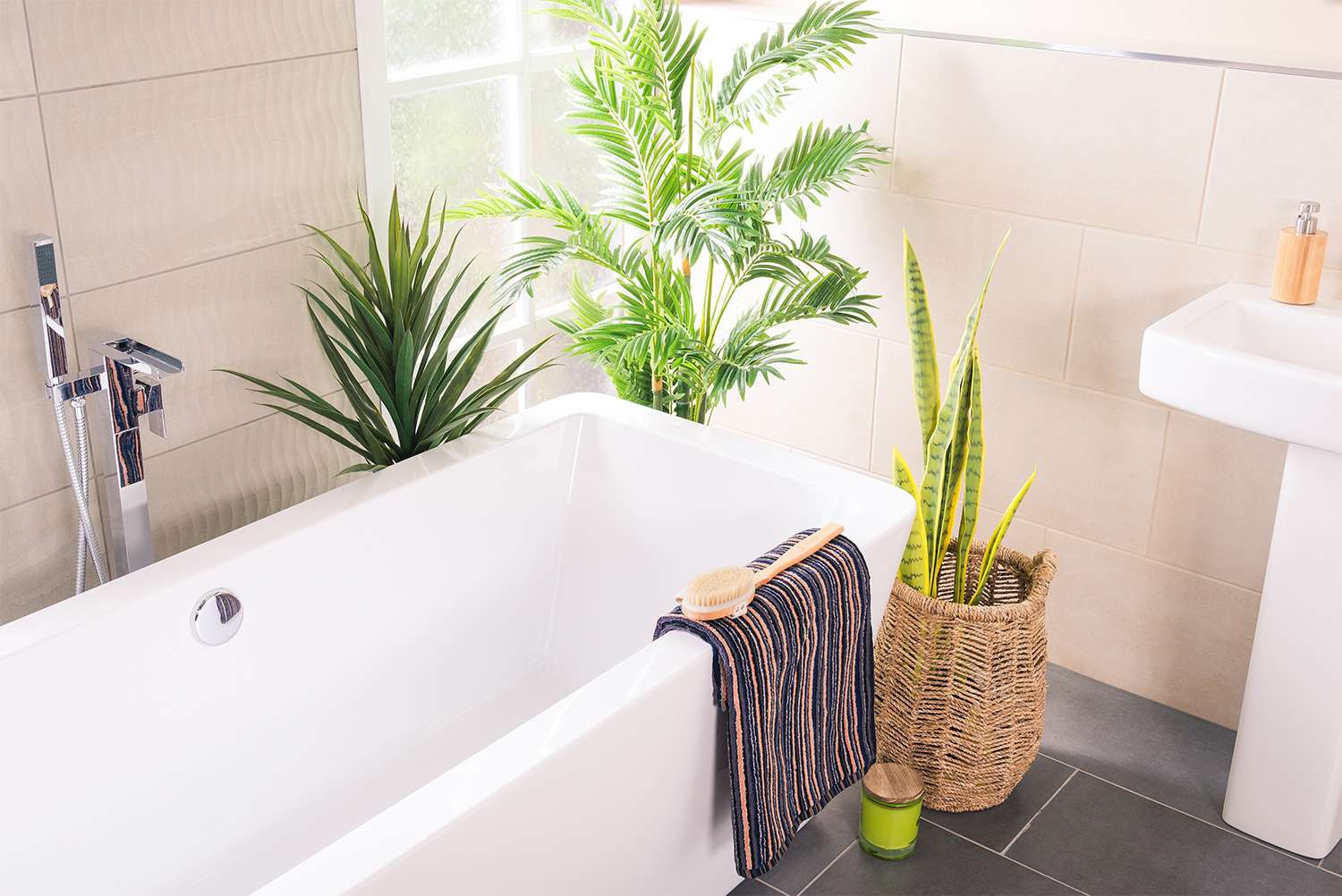 white bathtub with plants around it