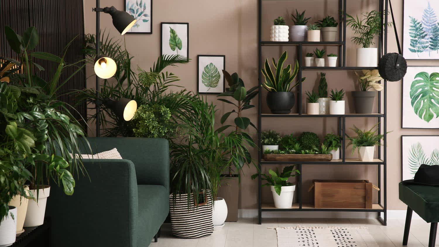 A shelving unit decorated with plants in a living room