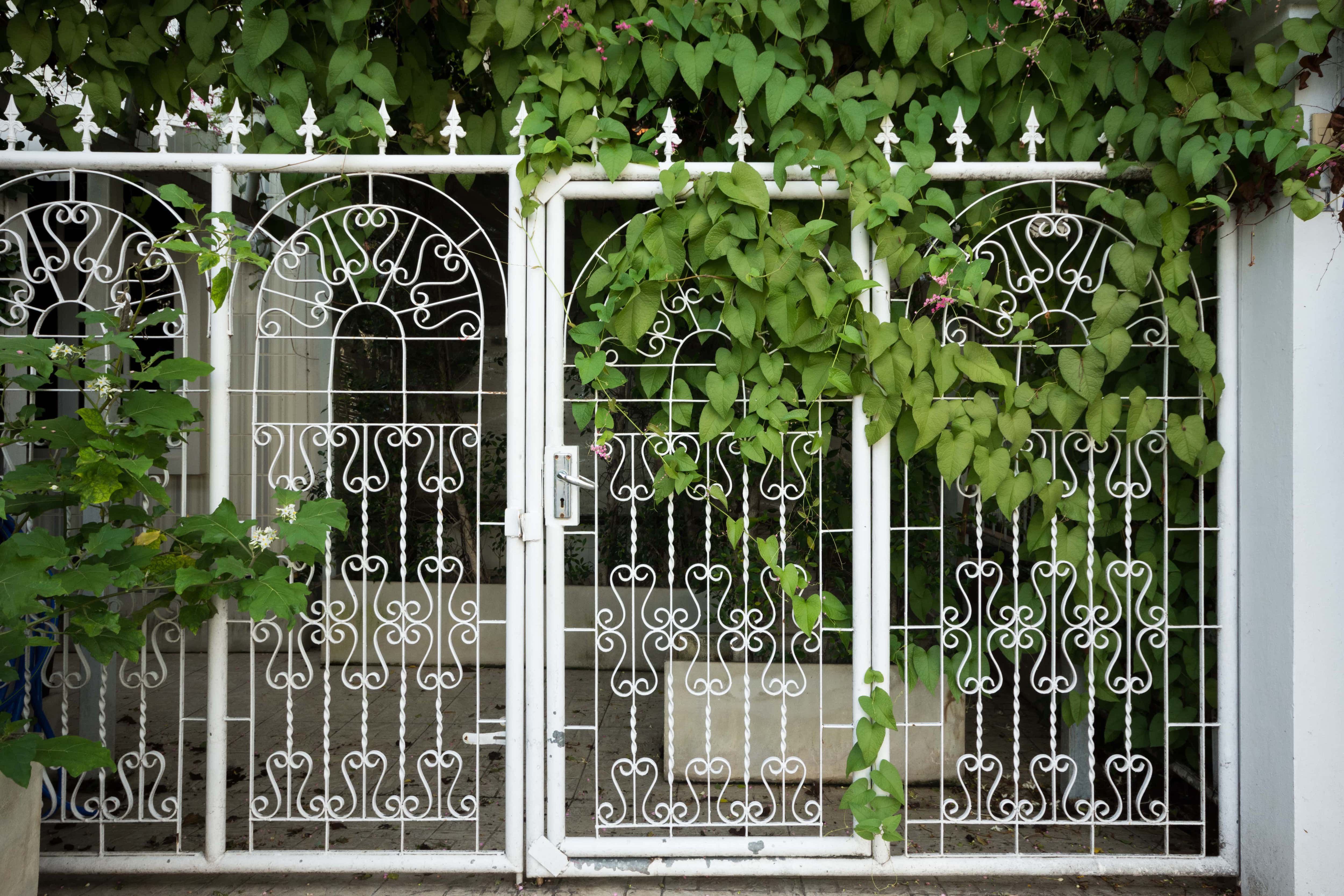 Steel door in modern house