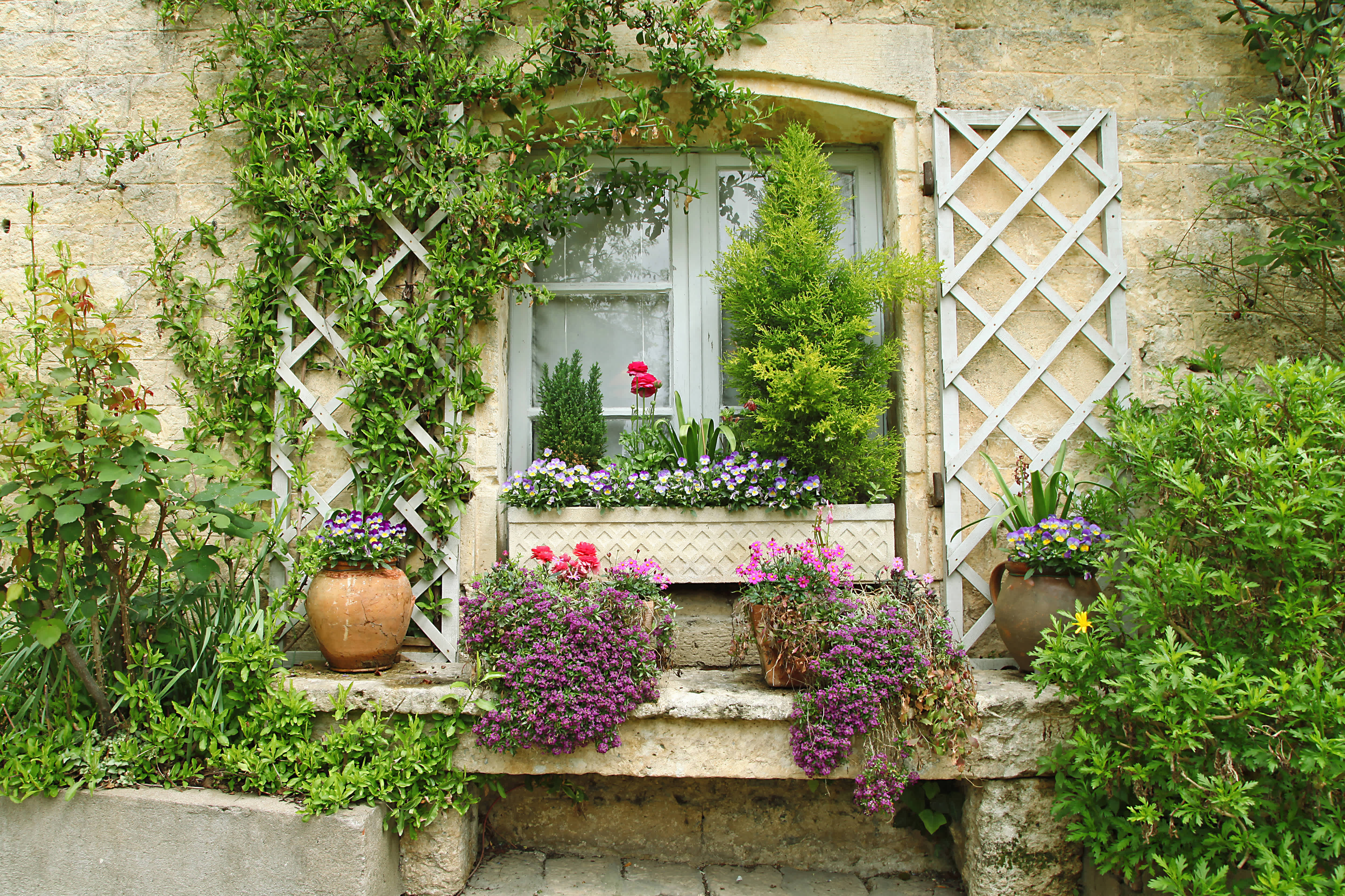 Two wooden trellises on either side of an exterior window