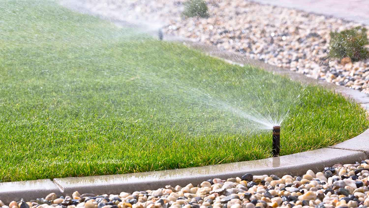 Automatic lawn irrigation system installed in the yard