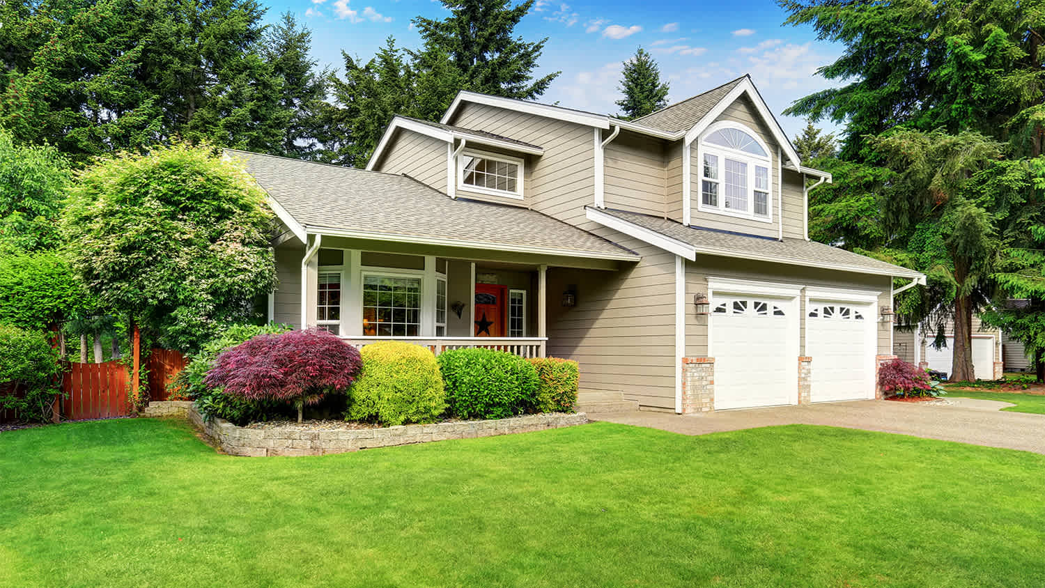 home surrounded by lush trees