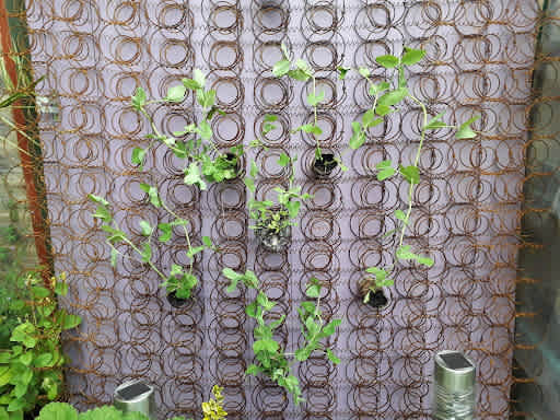 Upcycle Your Bed Springs