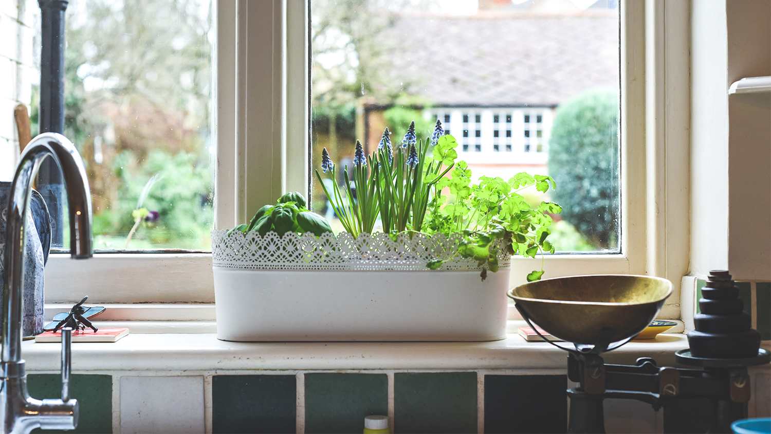 kitchen with mini window garden