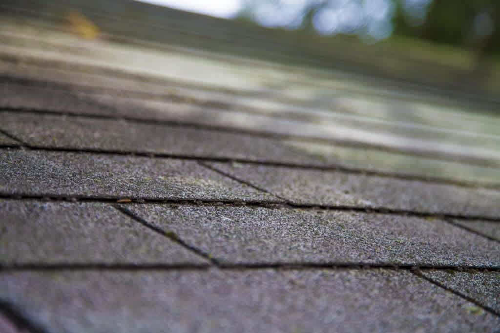 Closeup of roof shingles