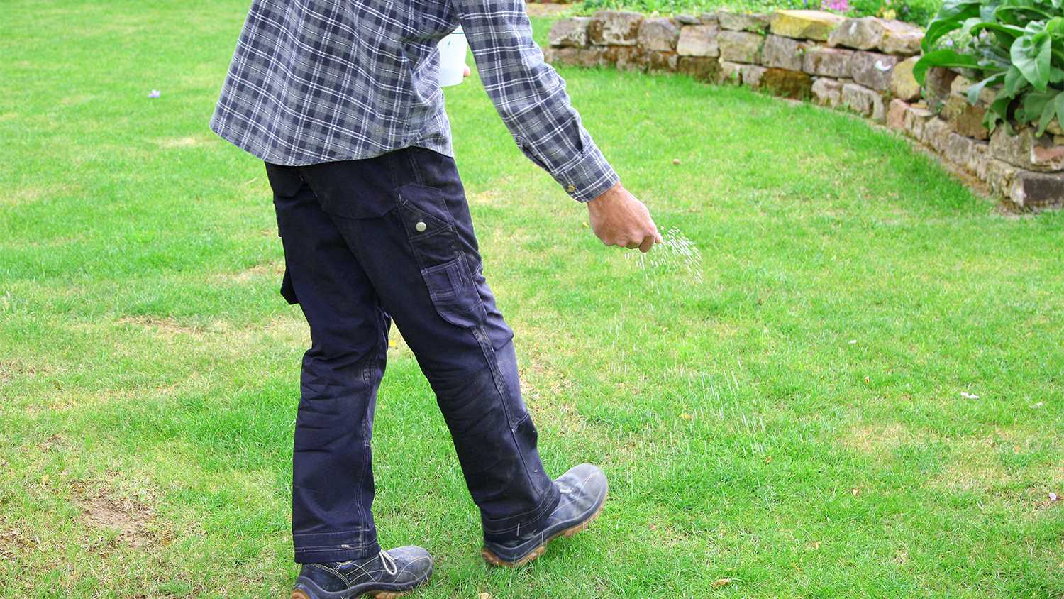 man sprinkling fertilizer on lawn