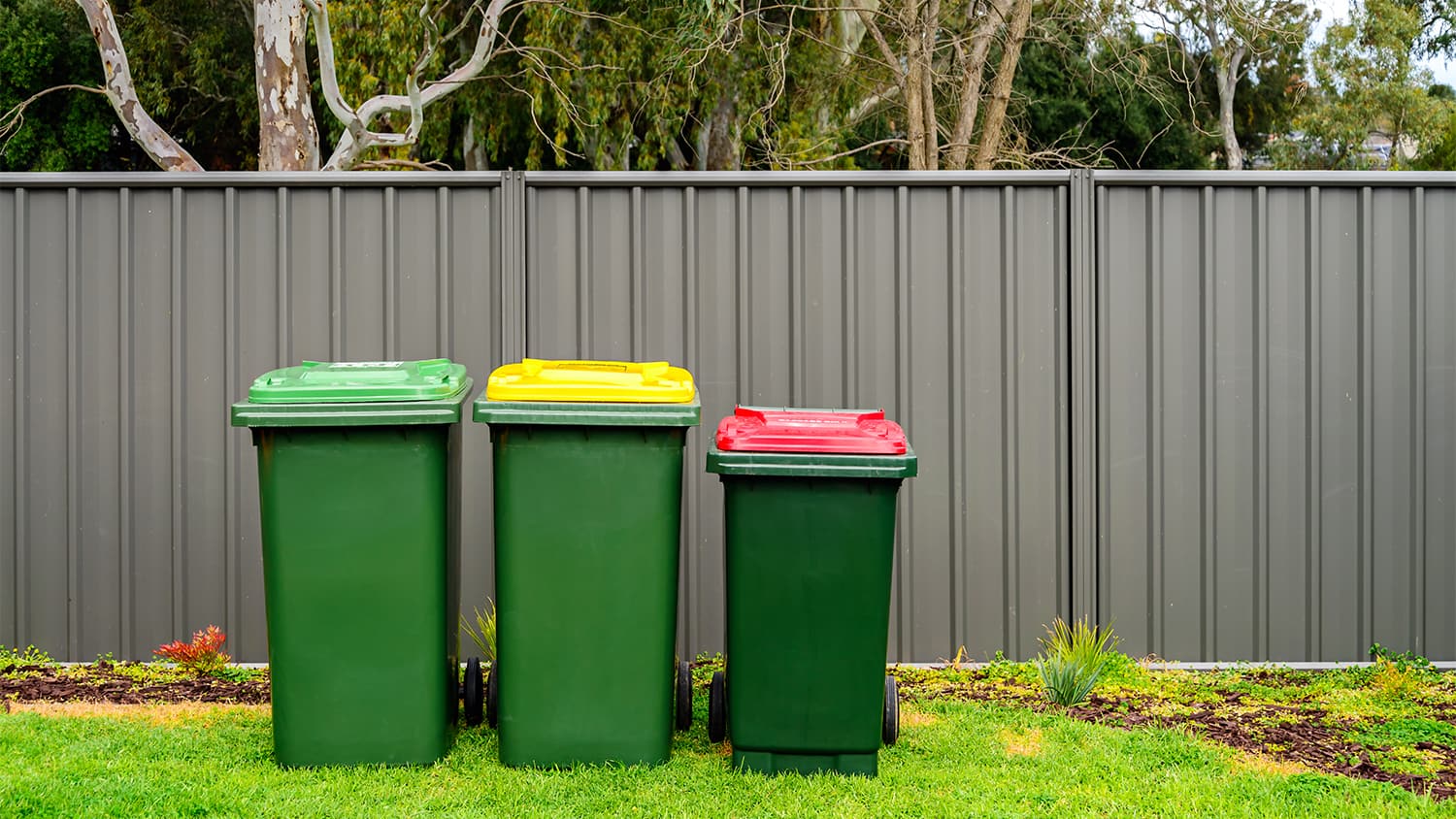 yard with garbage bins