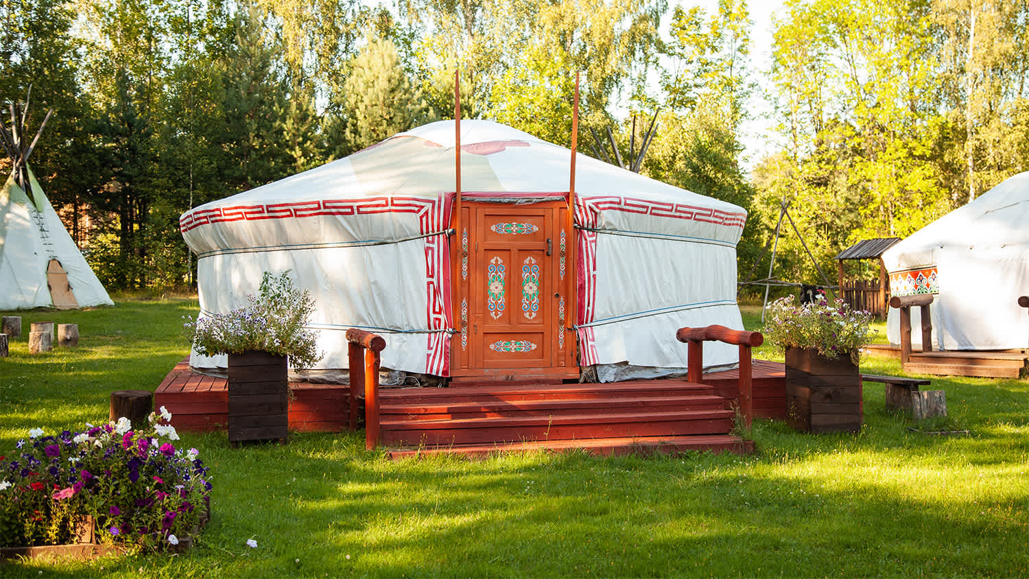 yurt tent in the forest
