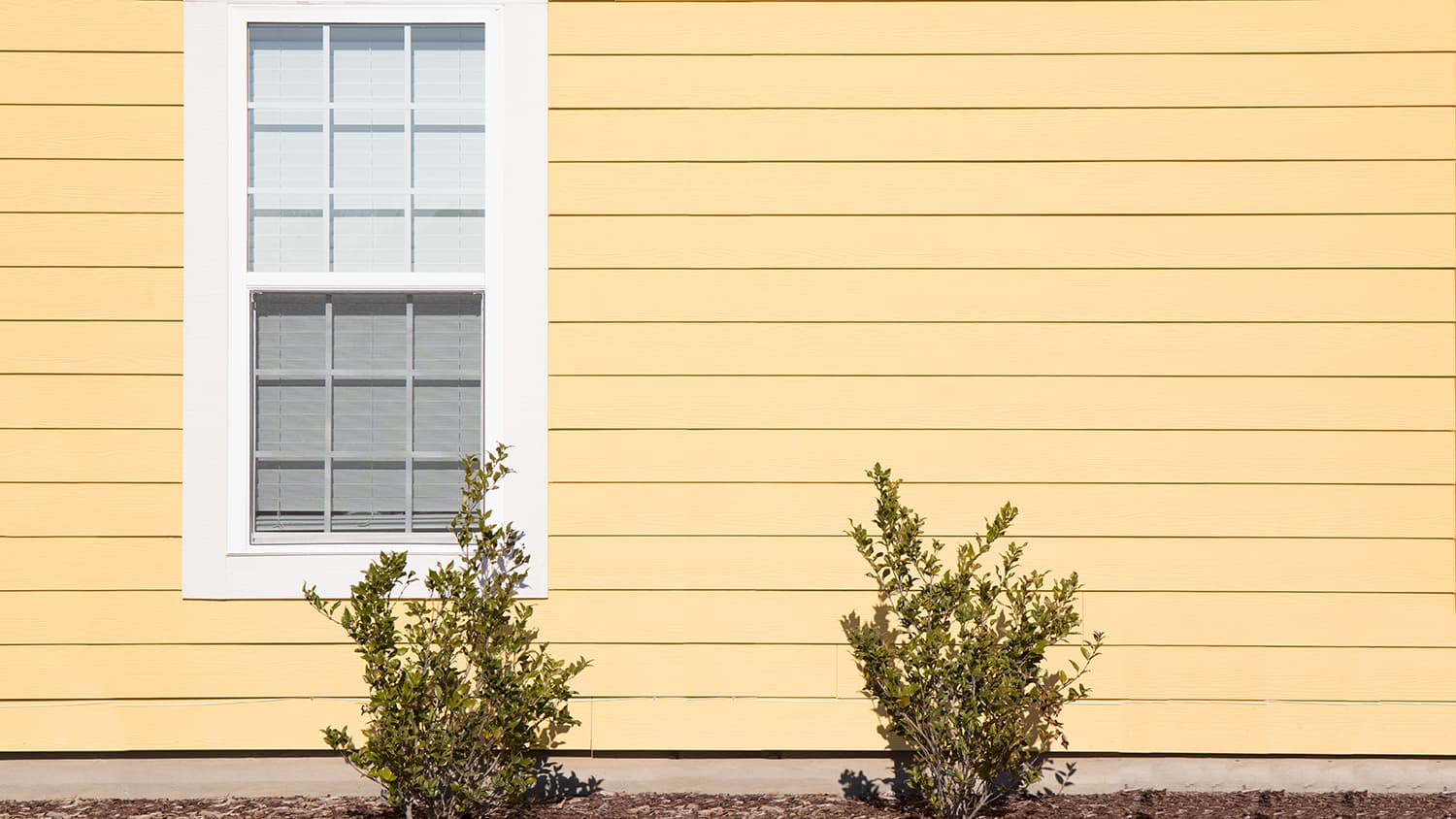 yellow home with single window pane