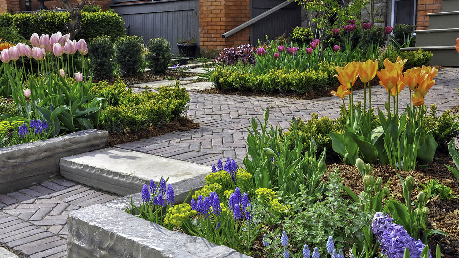 urban front yard brick paver walkway