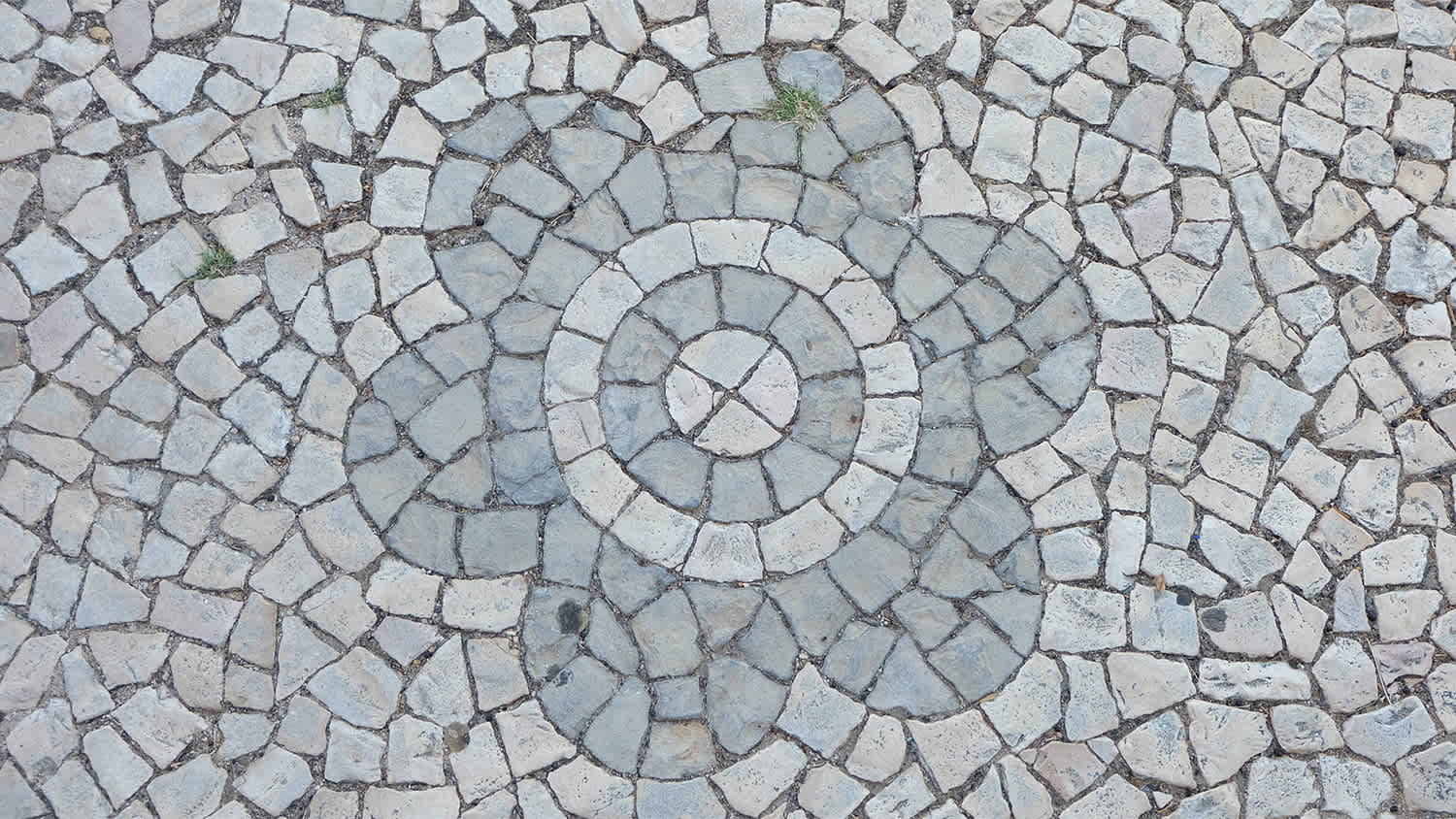 Gray street tiles arranged in a flower pattern