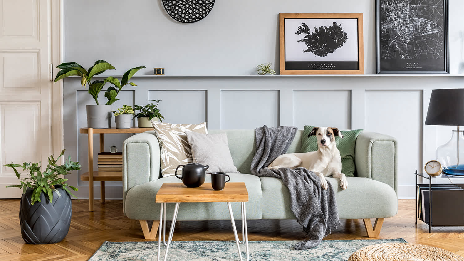 modern living room with dog on sofa