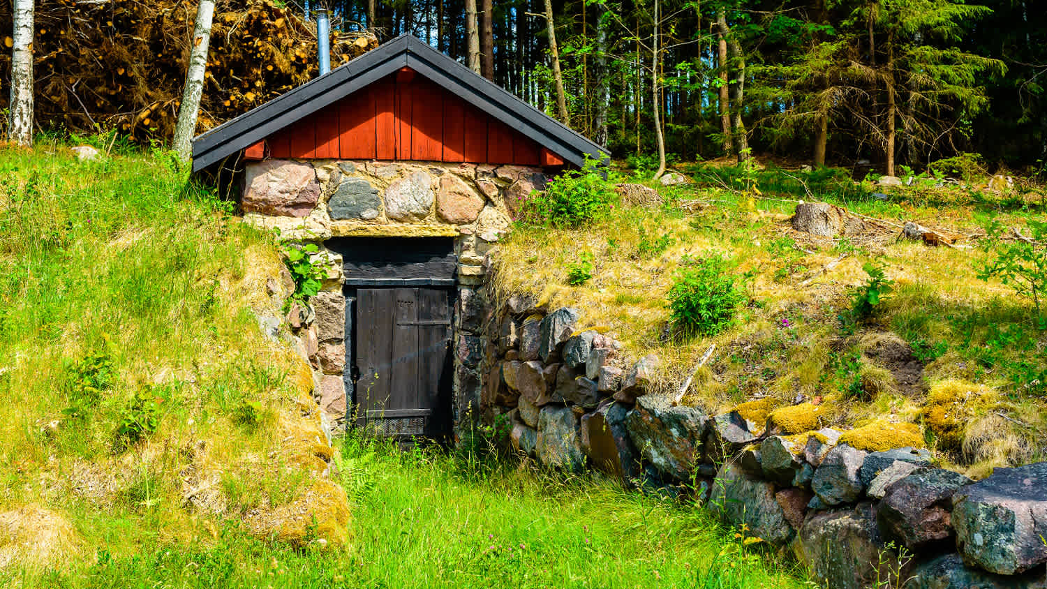 root cellar entrance in yard